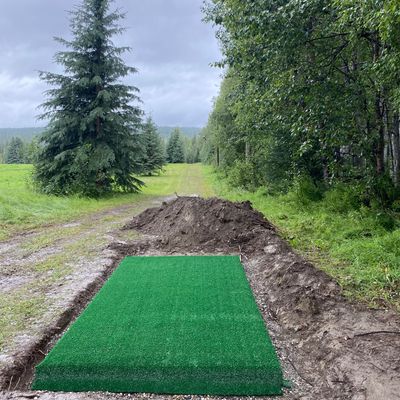 Hole 5 tee pad, basket tucked left behind third row of spruce trees in frame