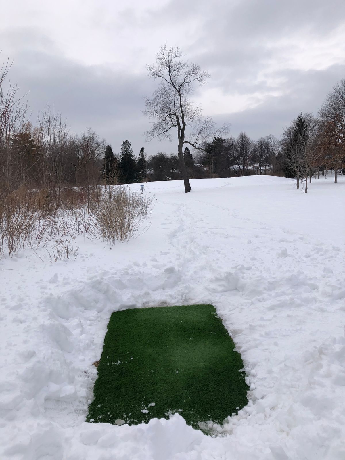 Thanks to those who shovelled the tee pads (Hole 5)