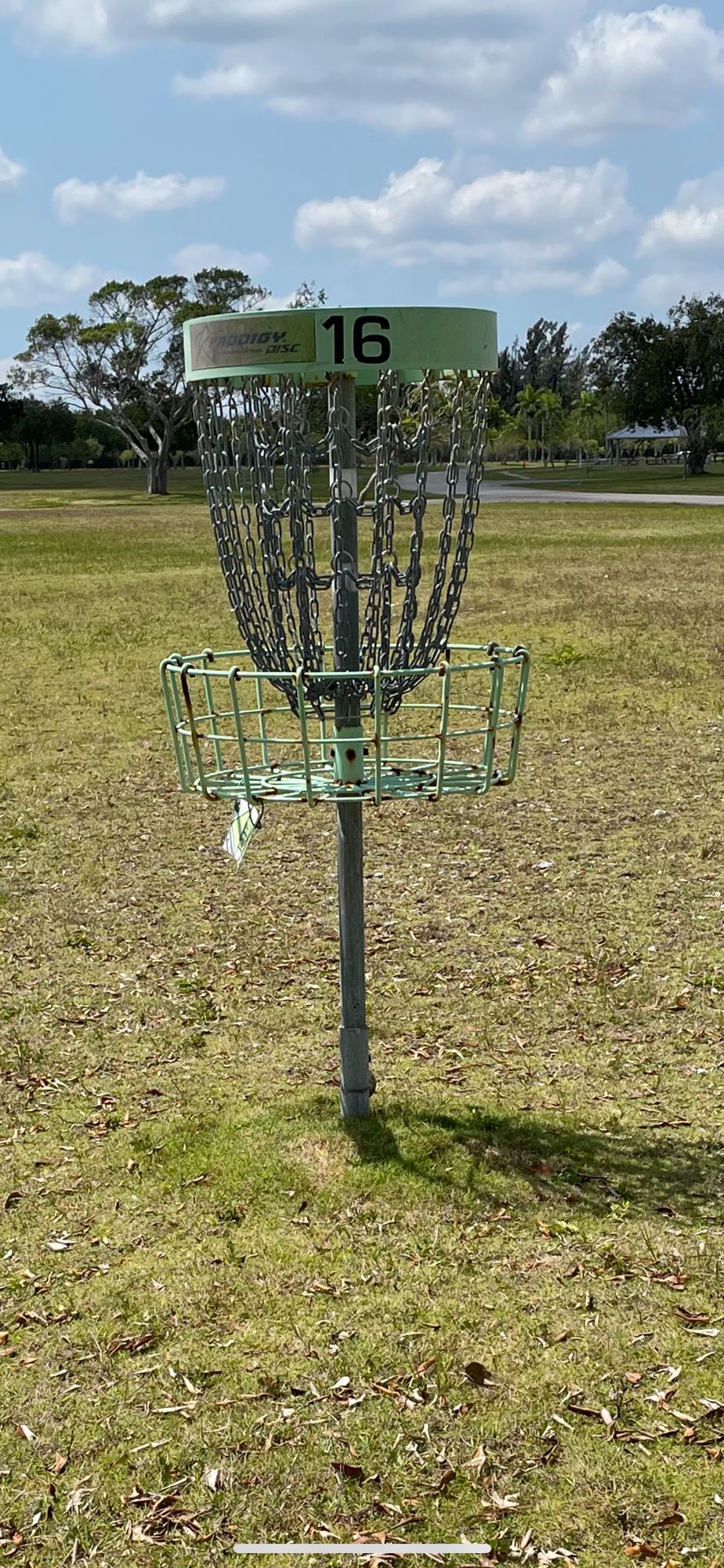Basket hole #16
