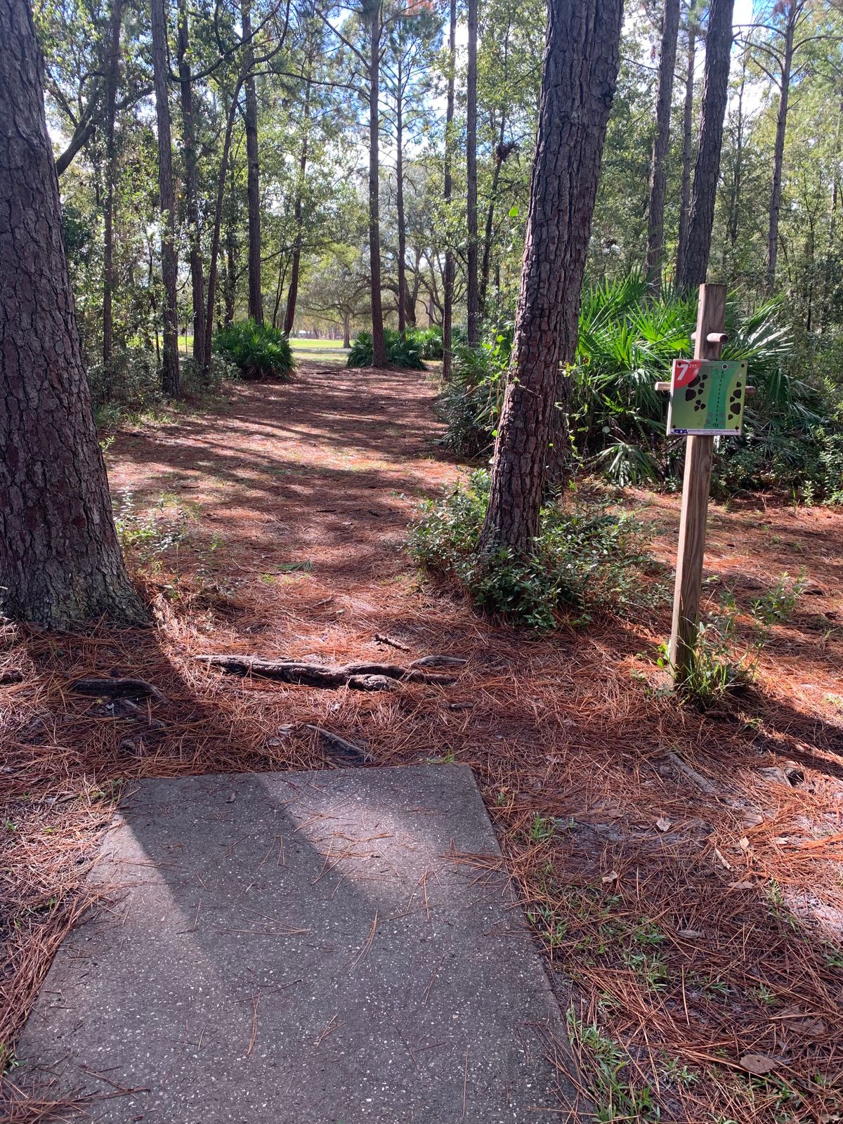 Hole 7