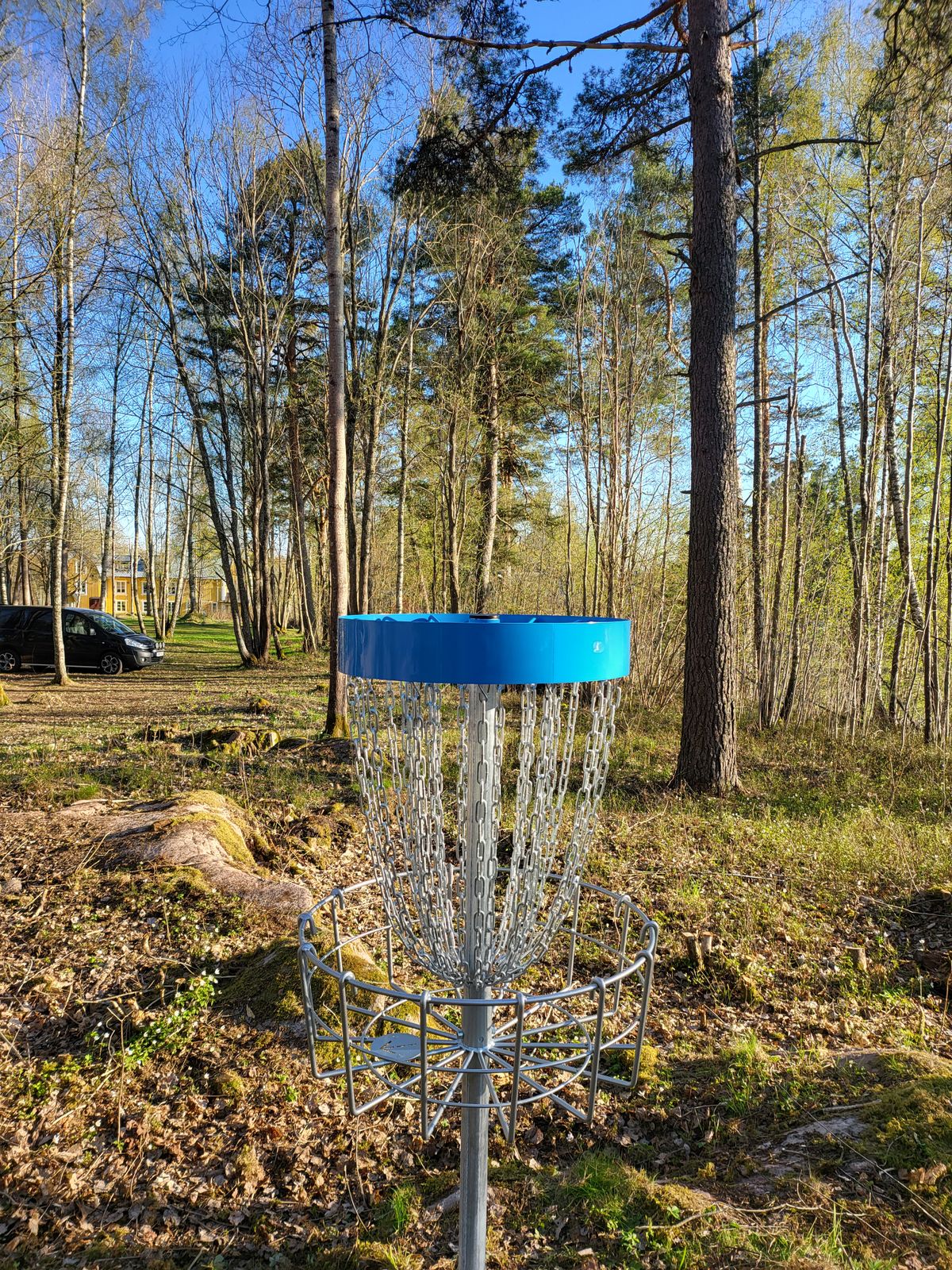 New basket hole 1
