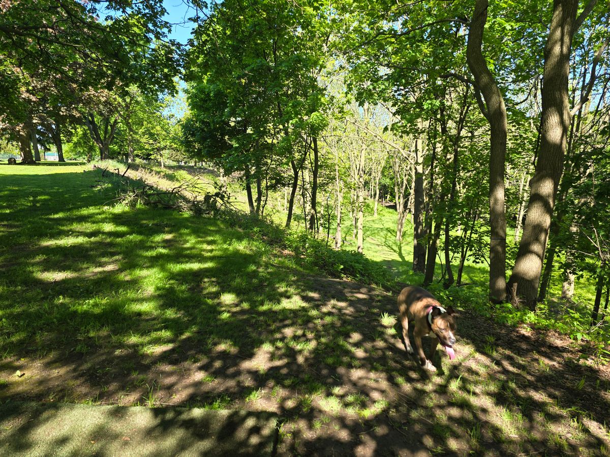 Hole 15