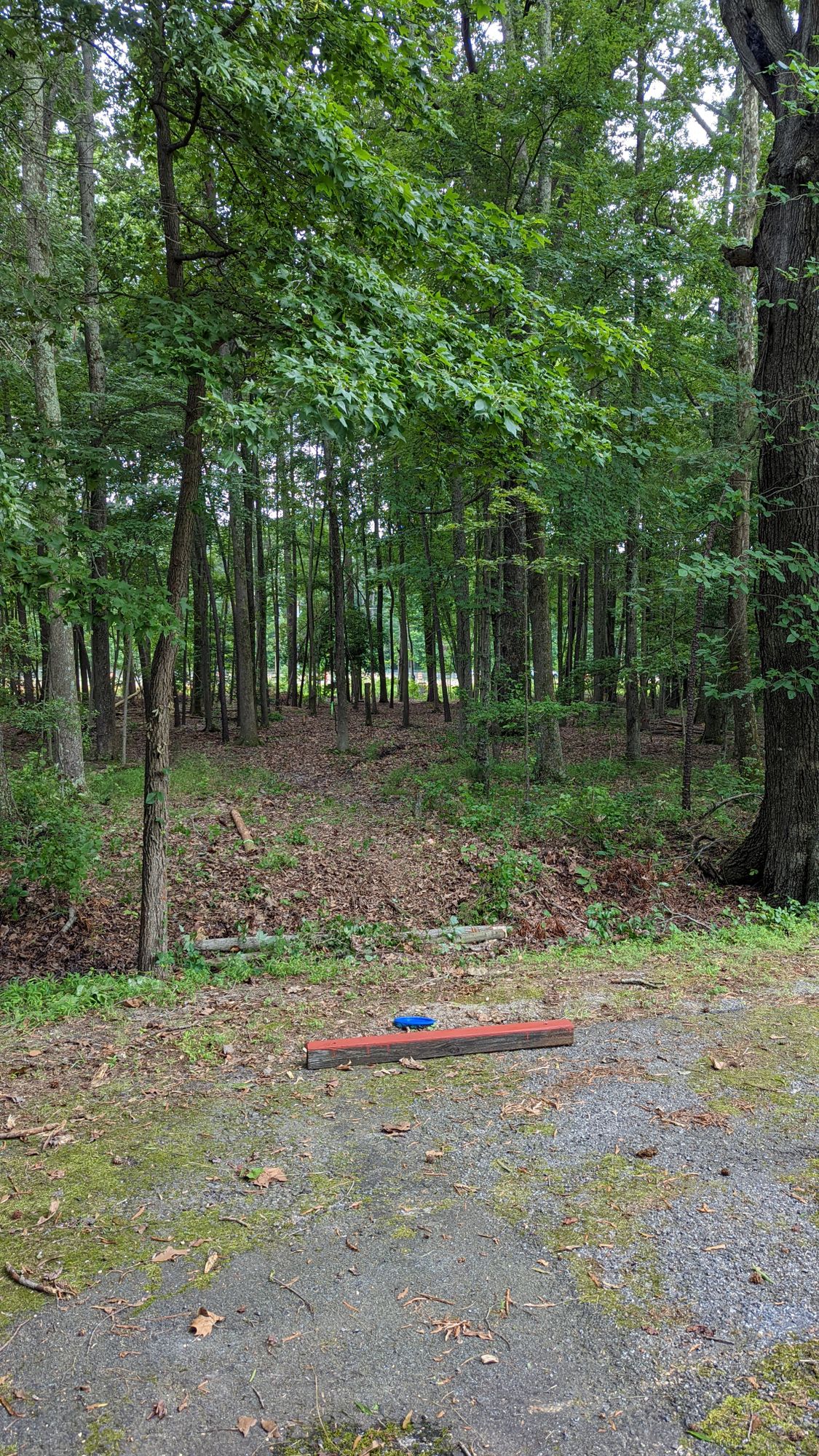 Hole 2 red tee