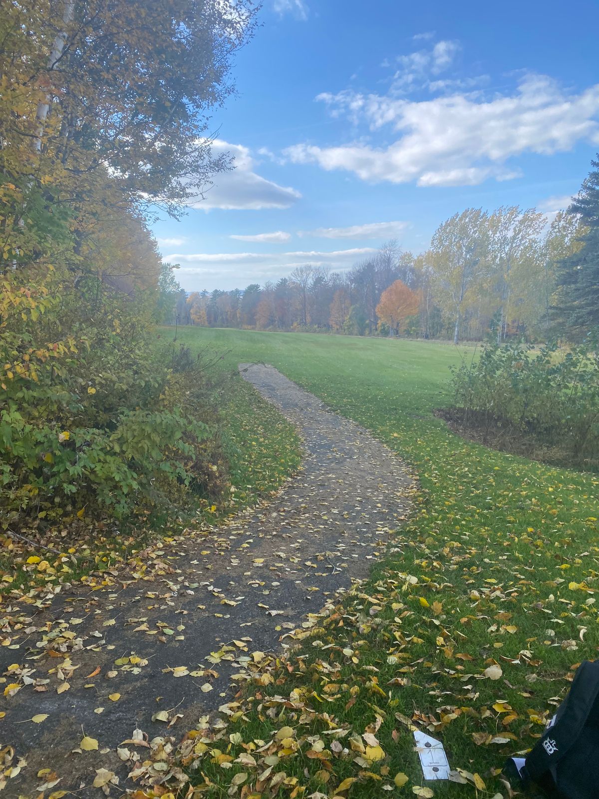 Tee 1