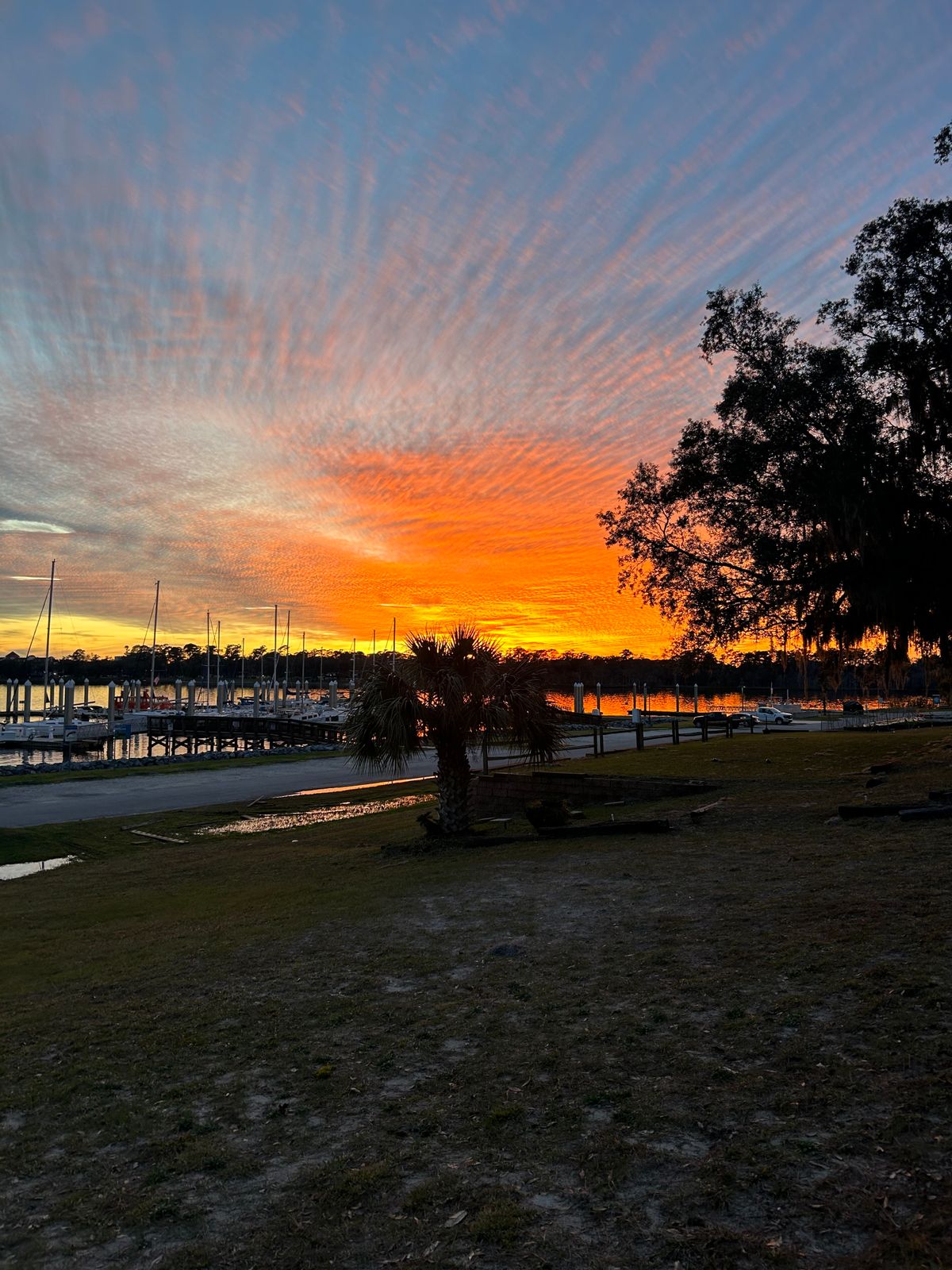 Sunset over the marina just after finishing on hole 9