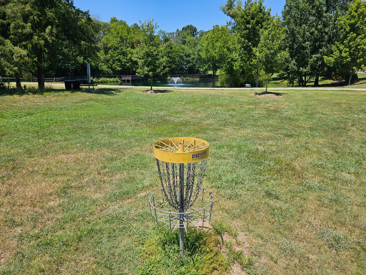 Hole 9's basket
