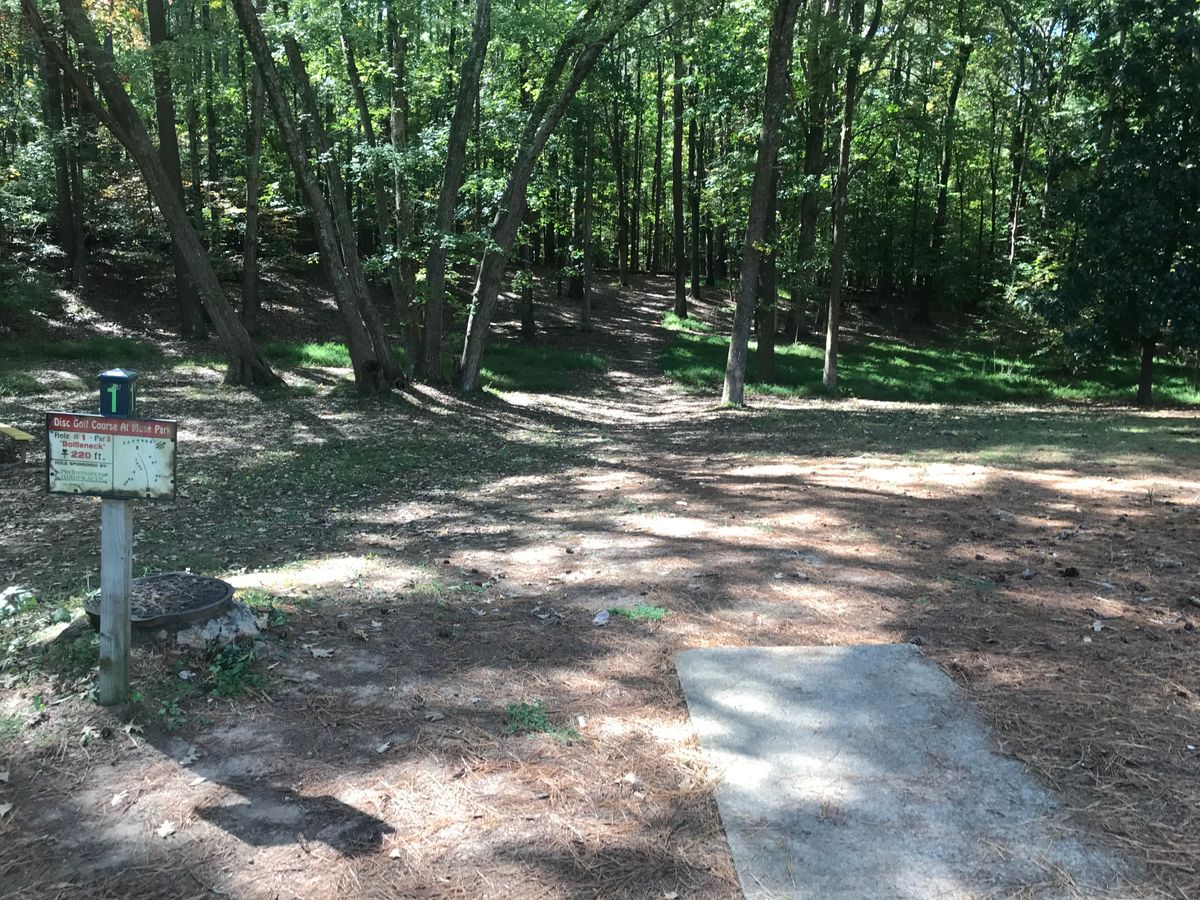 Hole#1