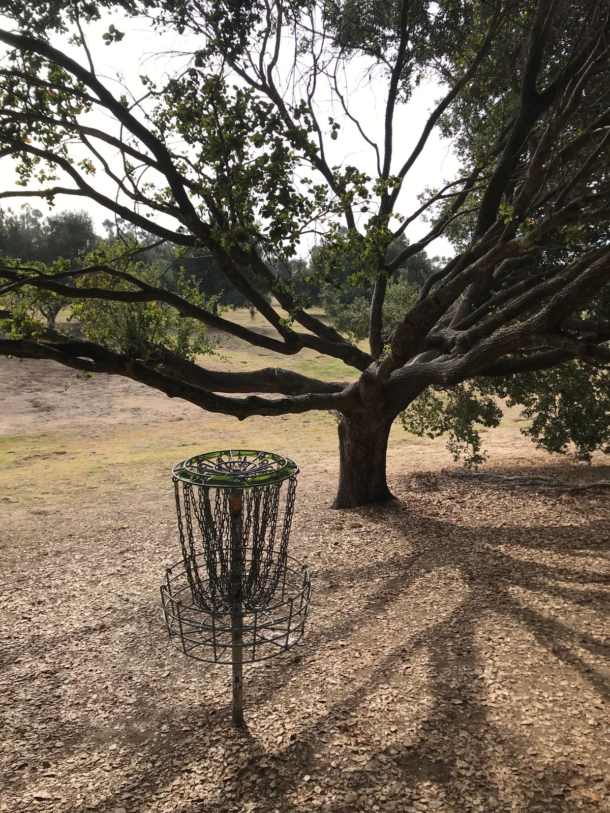 Hole 3s basket