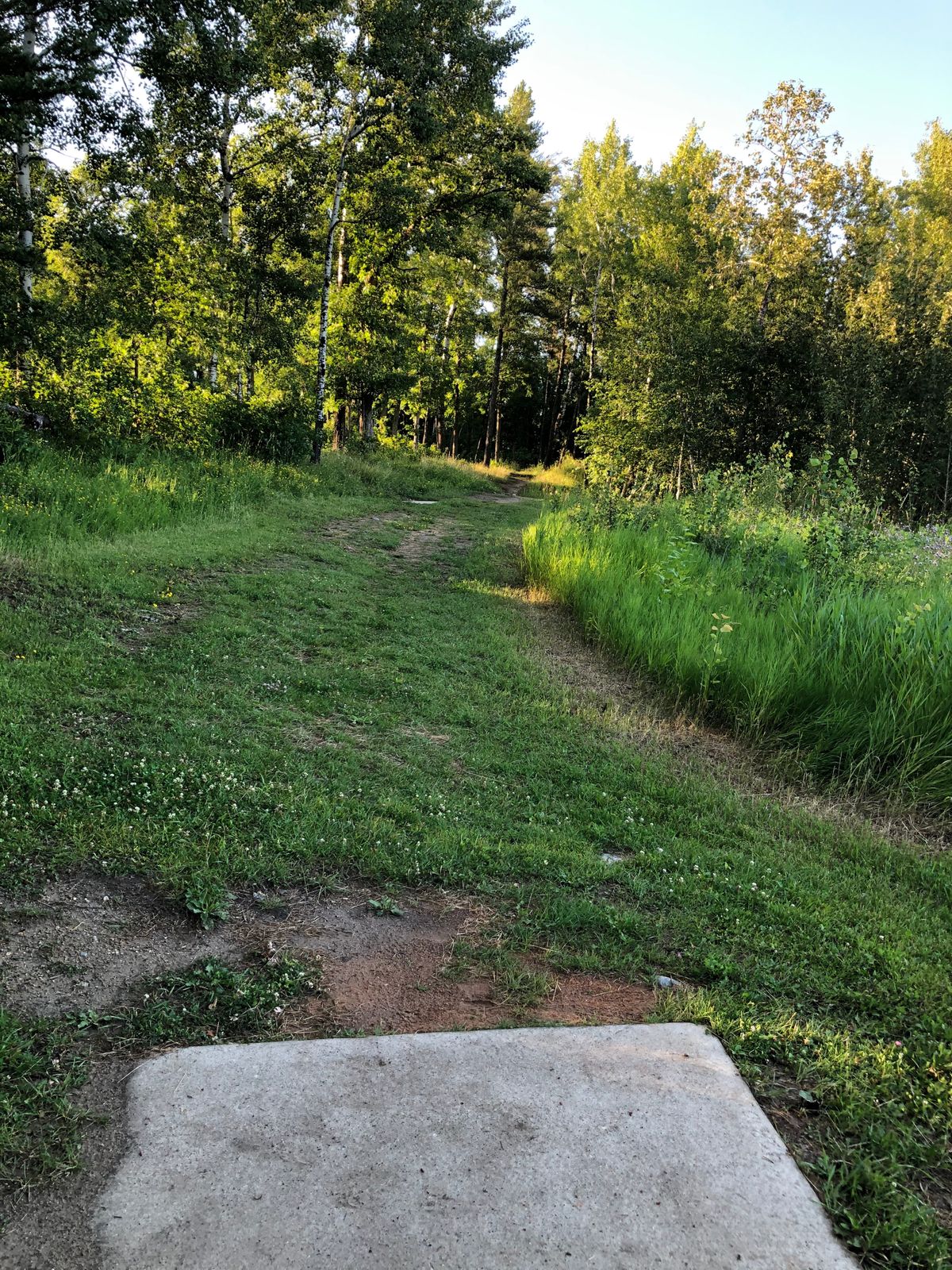 17 tee