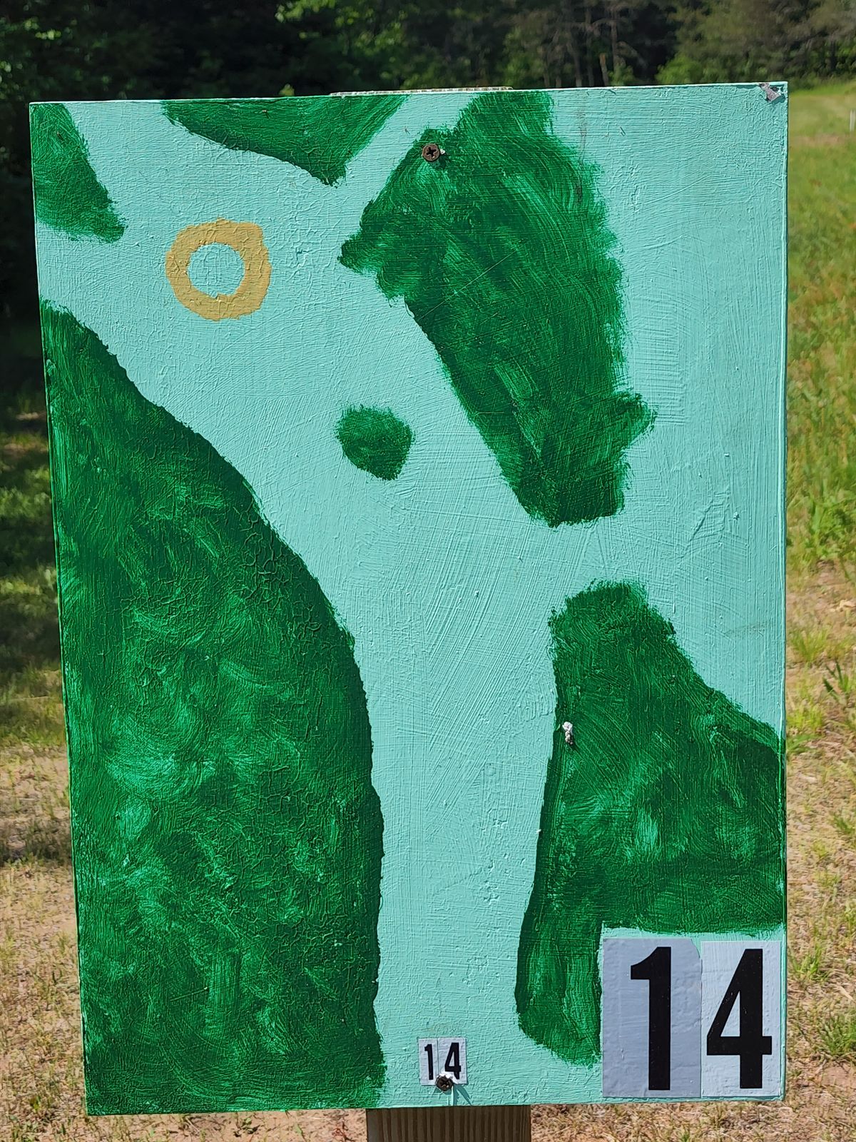 Hole 14
