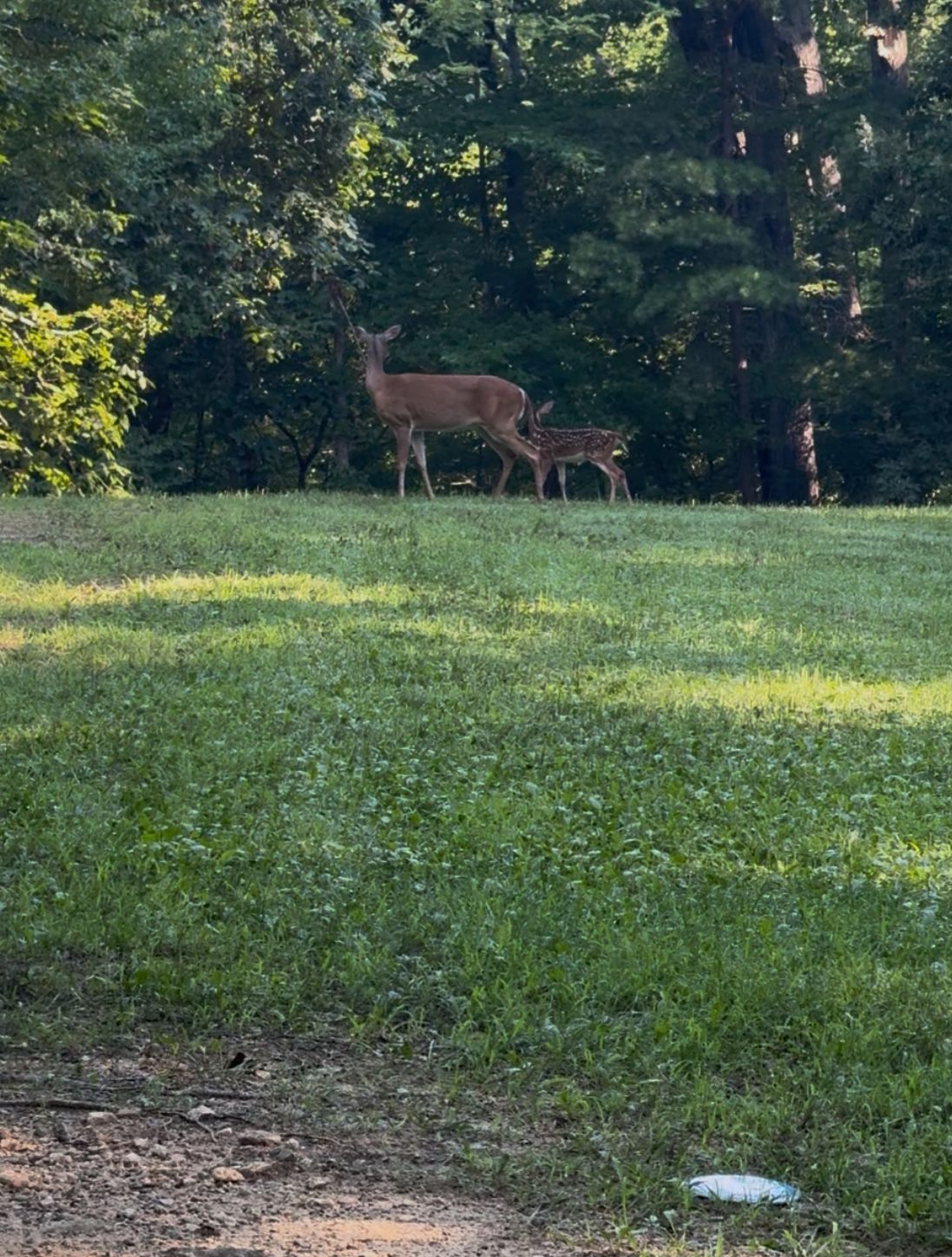 This beautiful course is often busy so you may have to wait on the group in front of you.