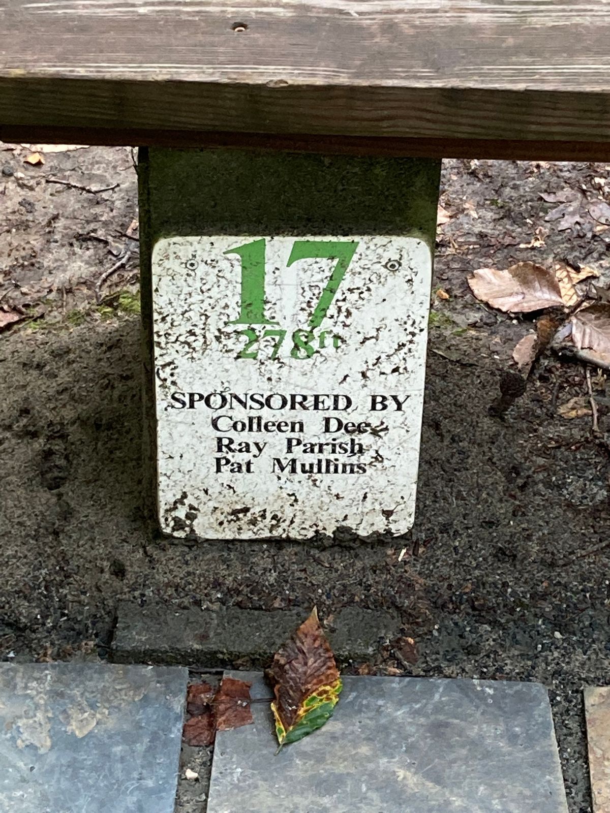 Hole 17