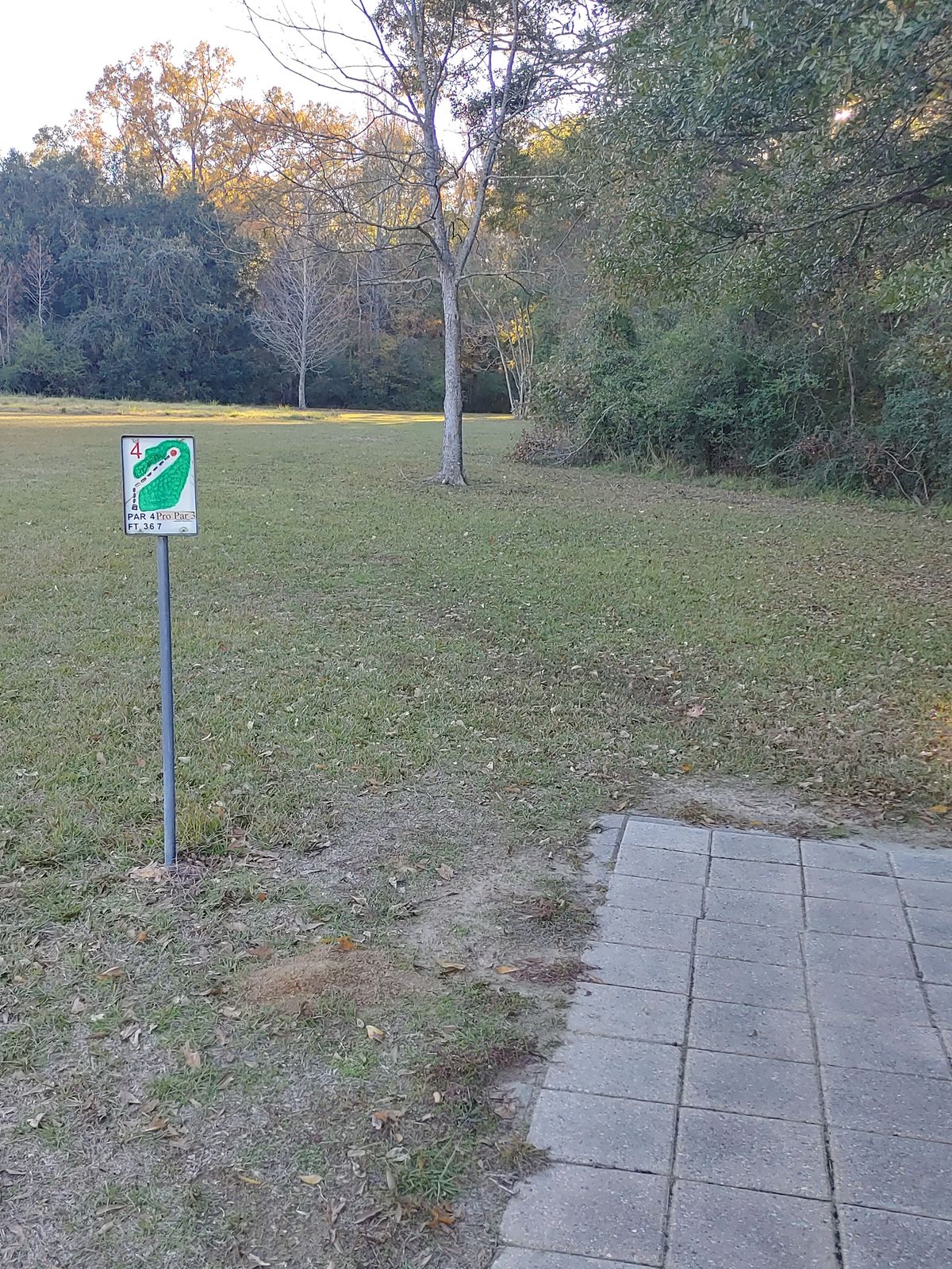 Hole 4 Pro