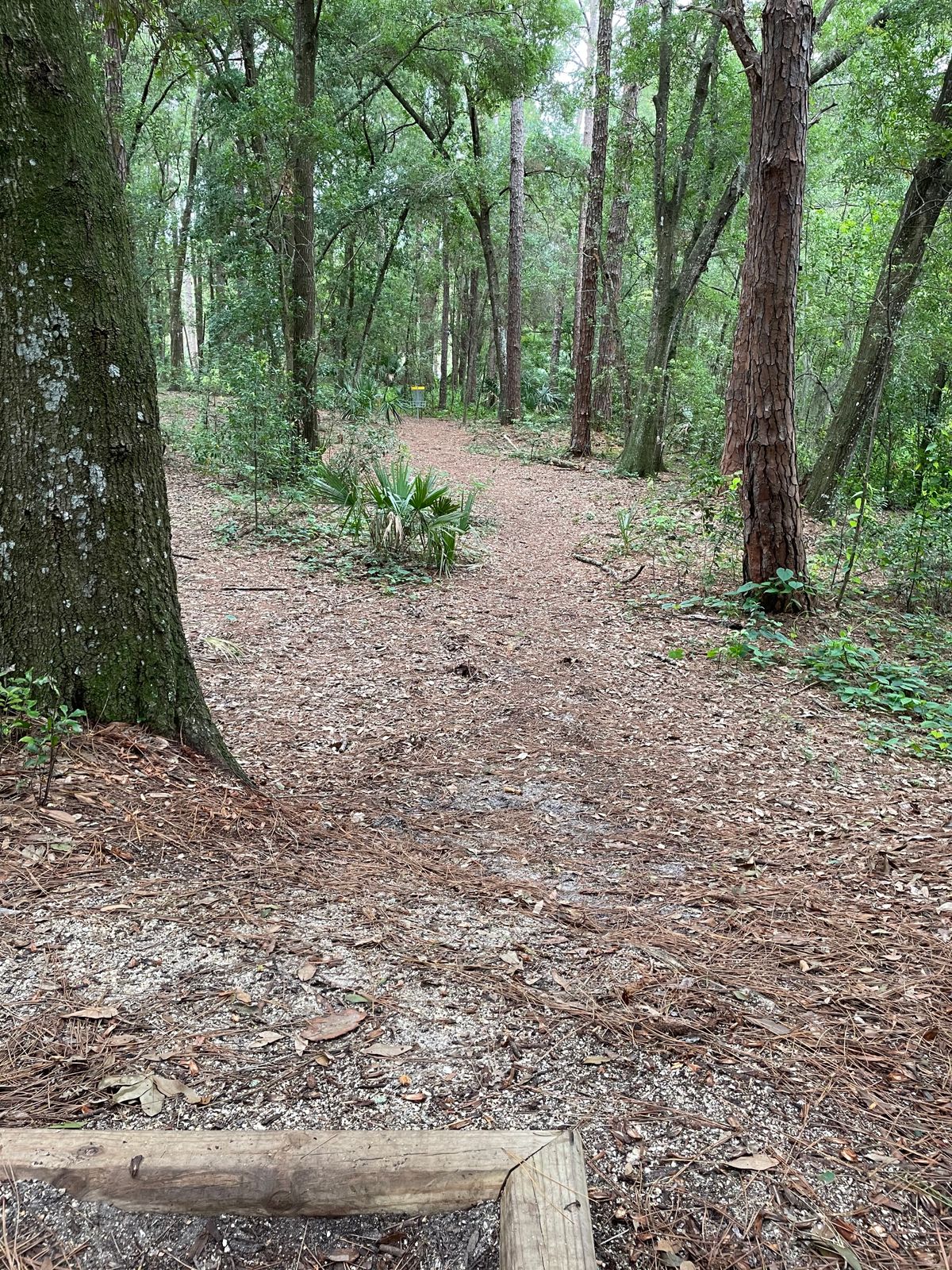 Hole 8 Tee