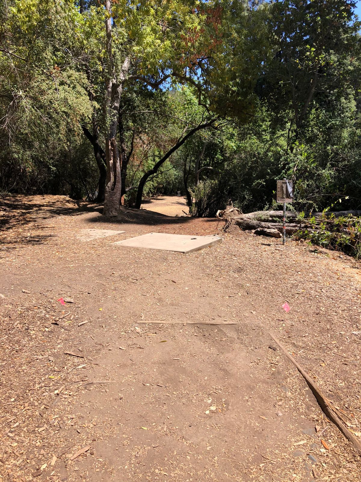 Tee Box at #4