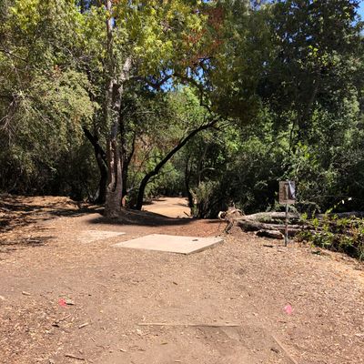 Tee Box at #4