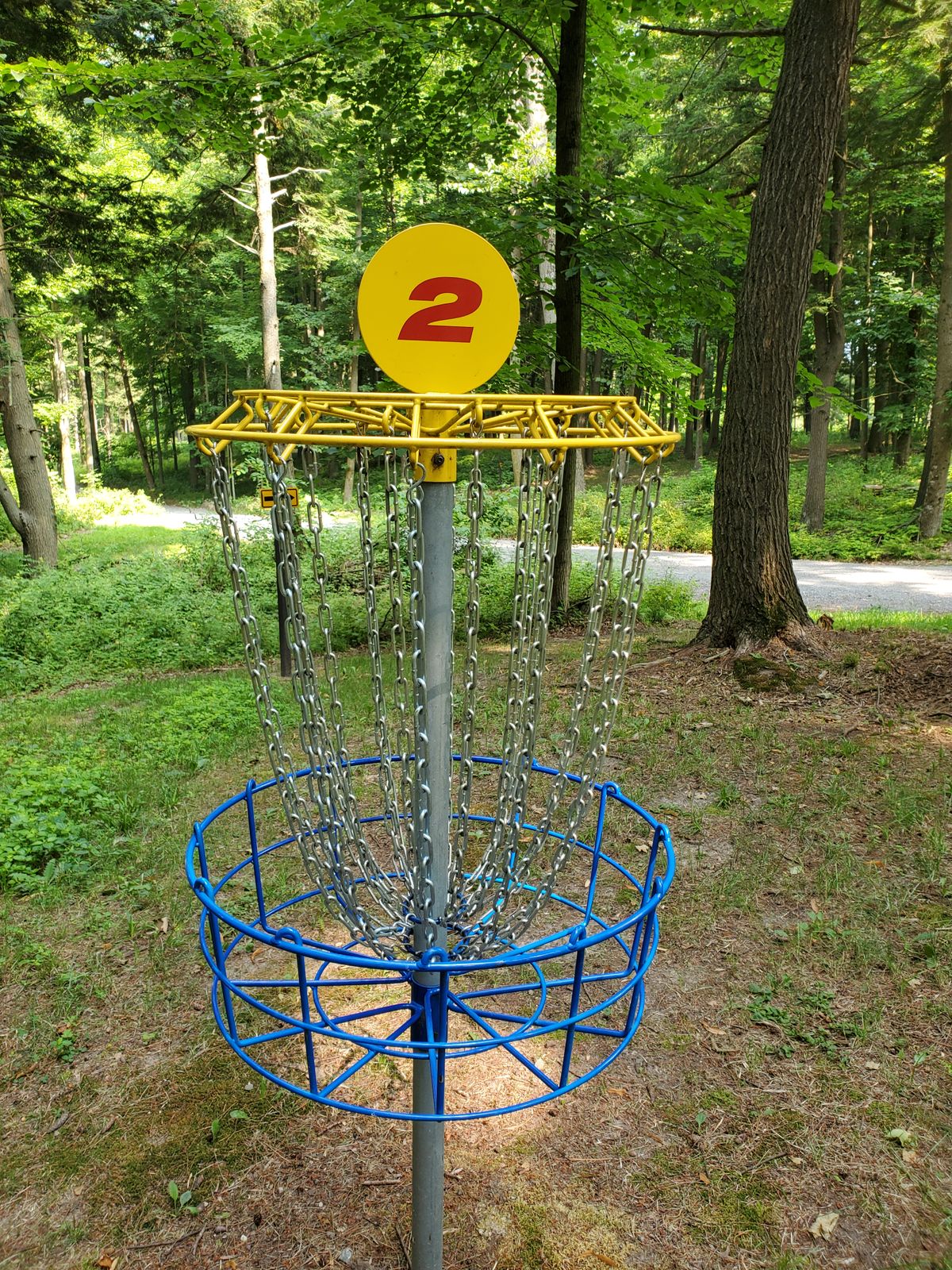 Basket 2