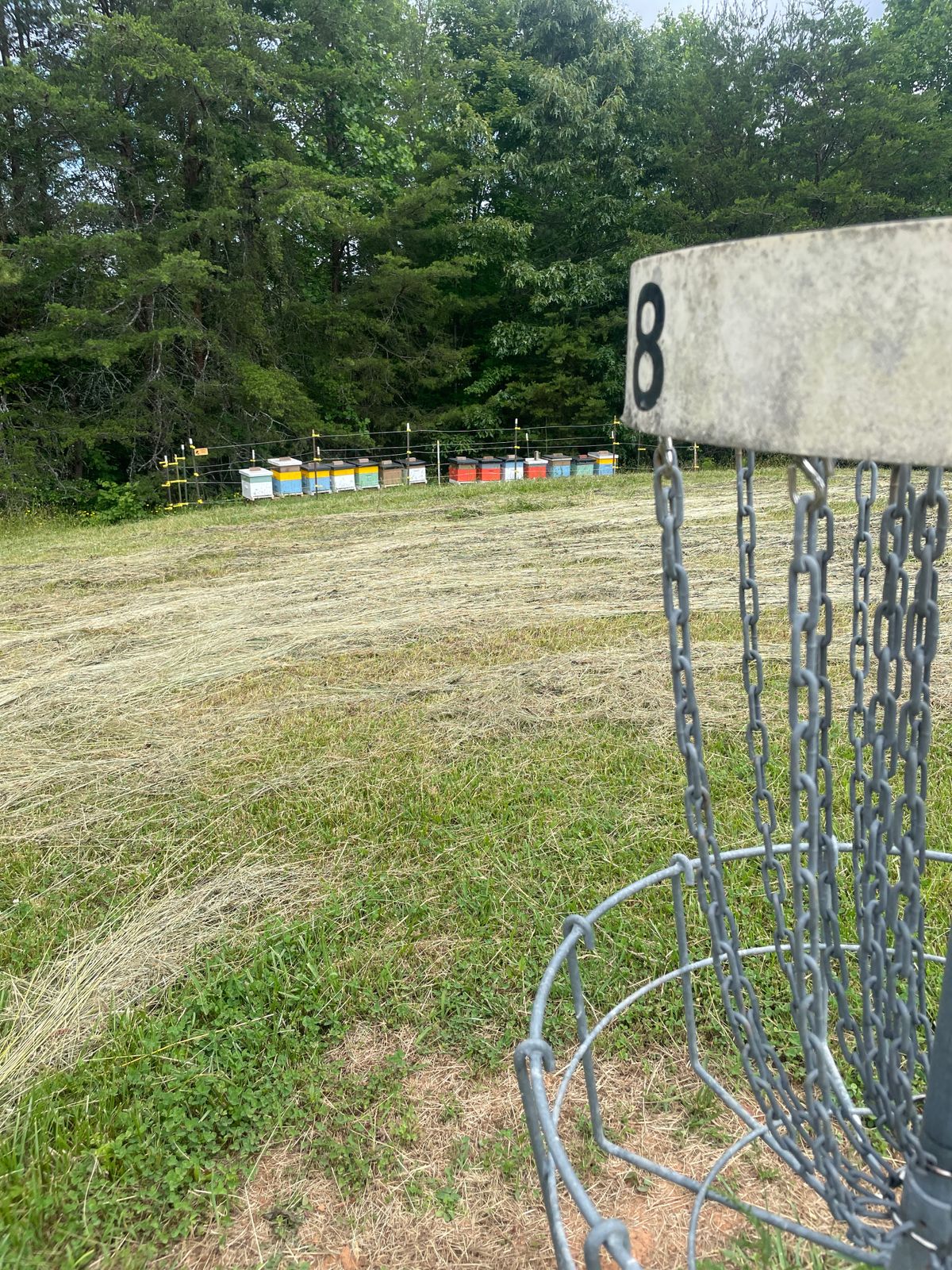 Hole 8
