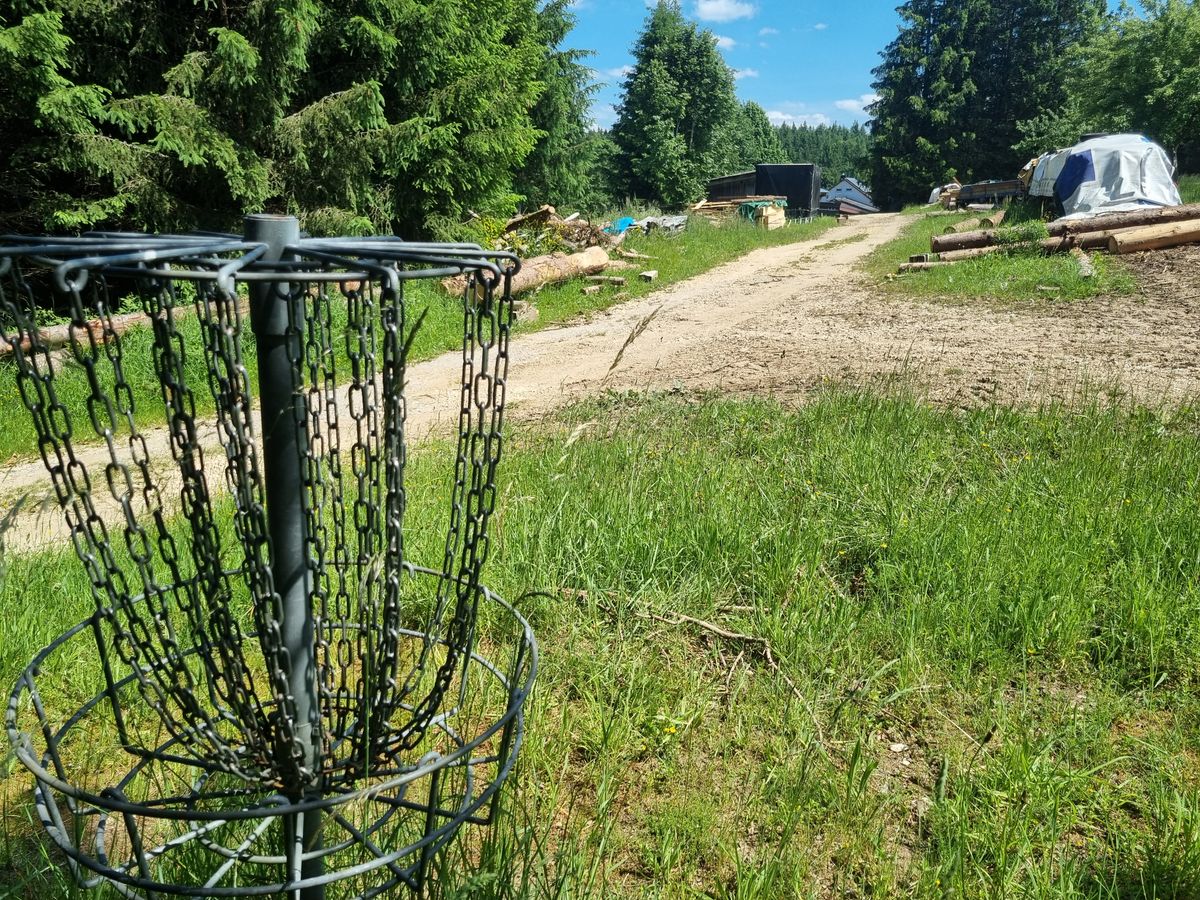 Basket + fairway hole 1