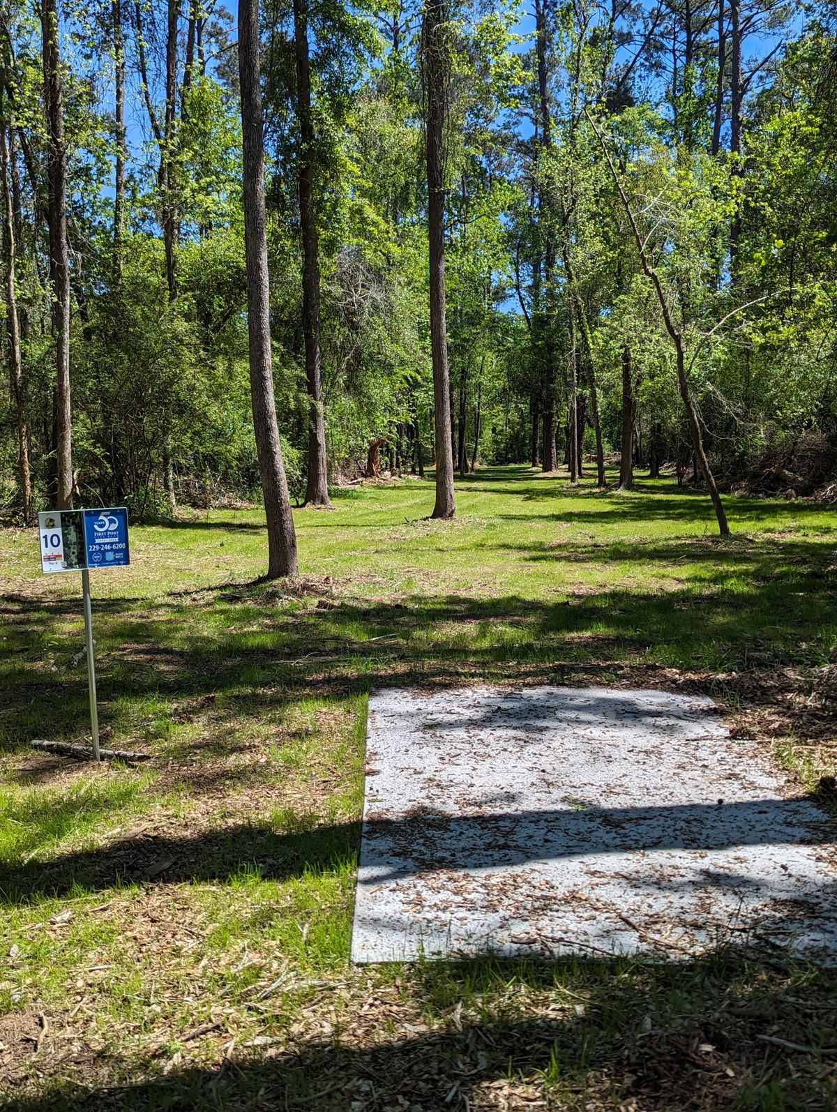 Hole 10 Blue/Veteran Pad