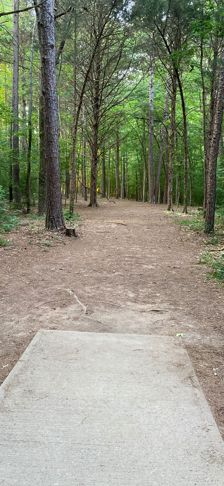 Hole 15 - 260 ft - Par 3