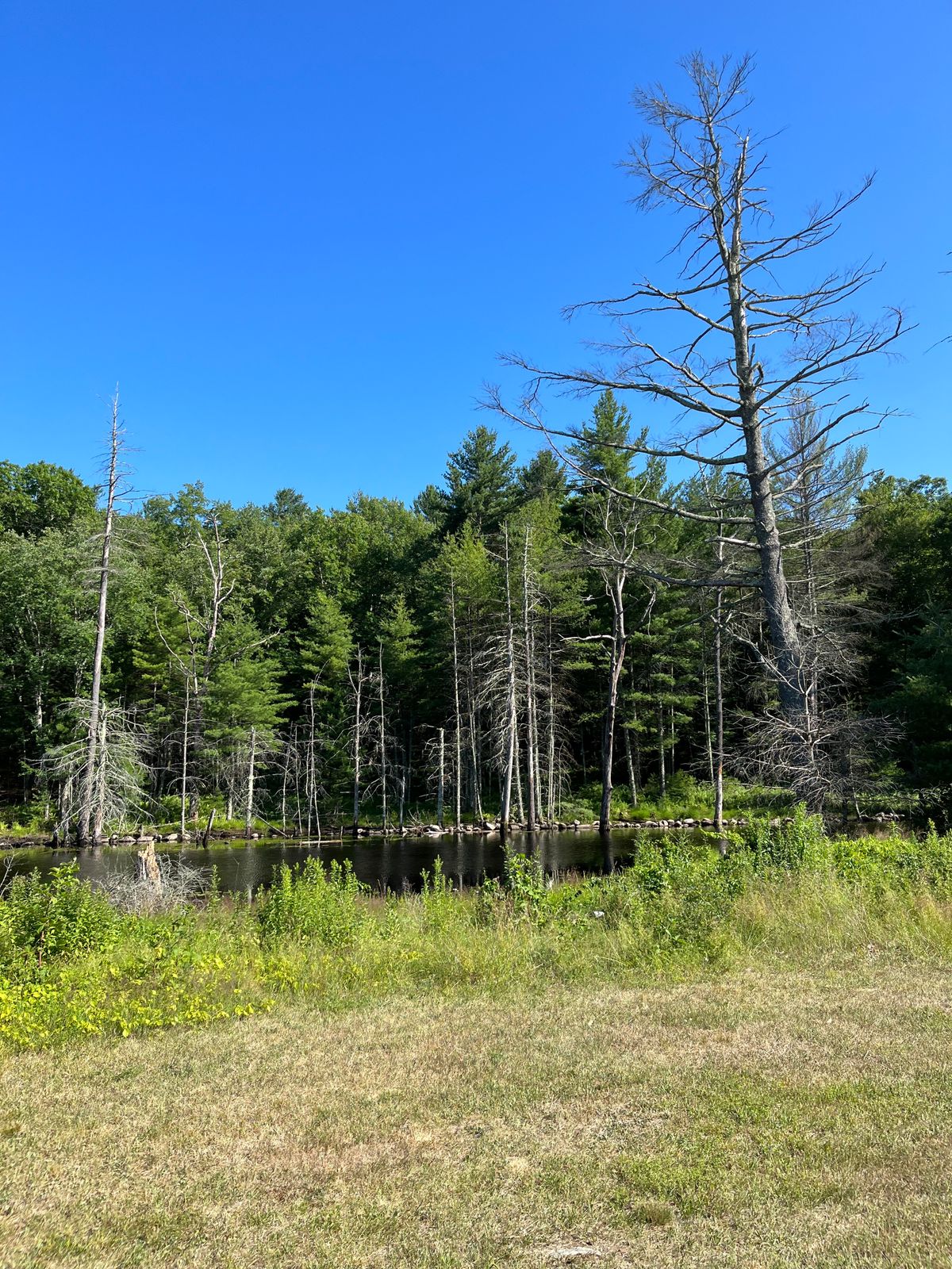 Water near hole 8