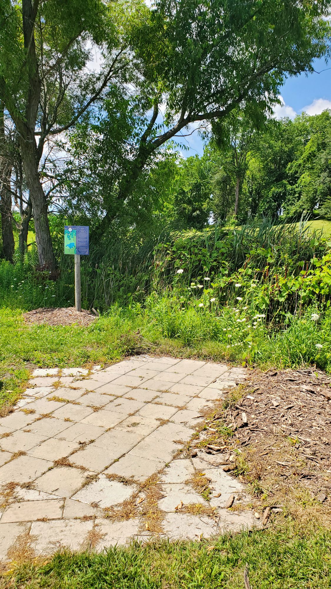 Hole 4s tee pad from the whites.  Shared tee pad with 9s blue layout