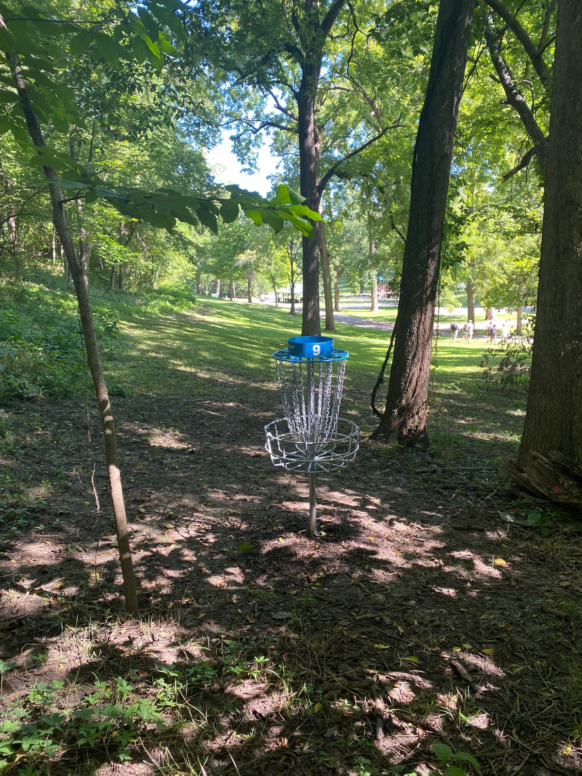 9 basket towards fairway