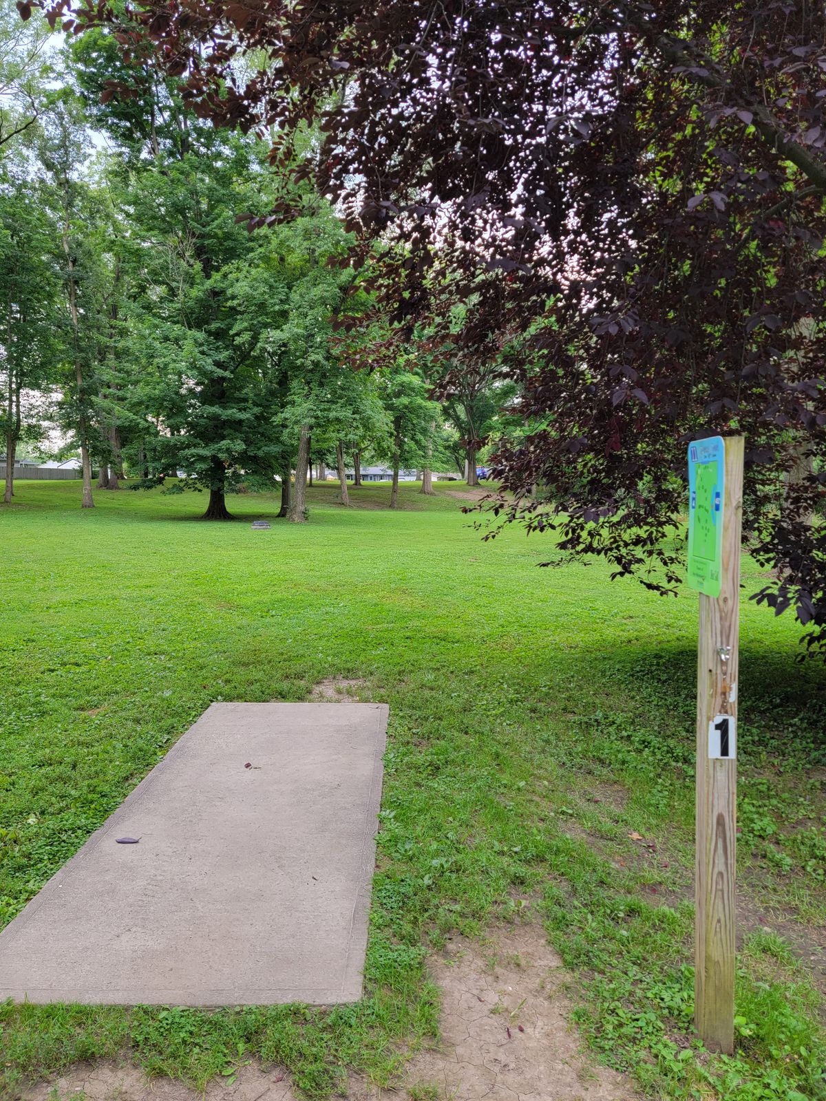Hole 11 from the tee.