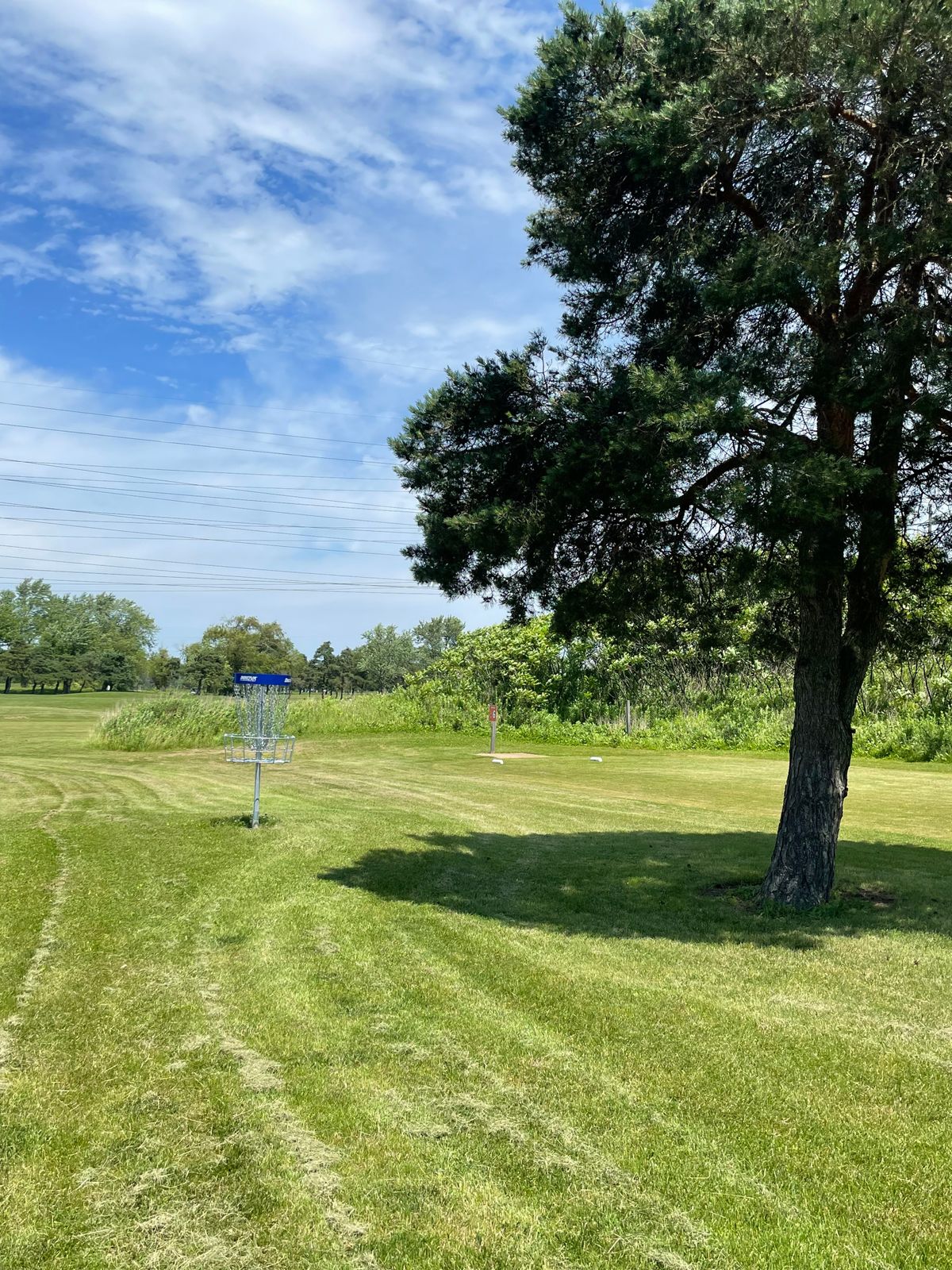 Hole 6 basket