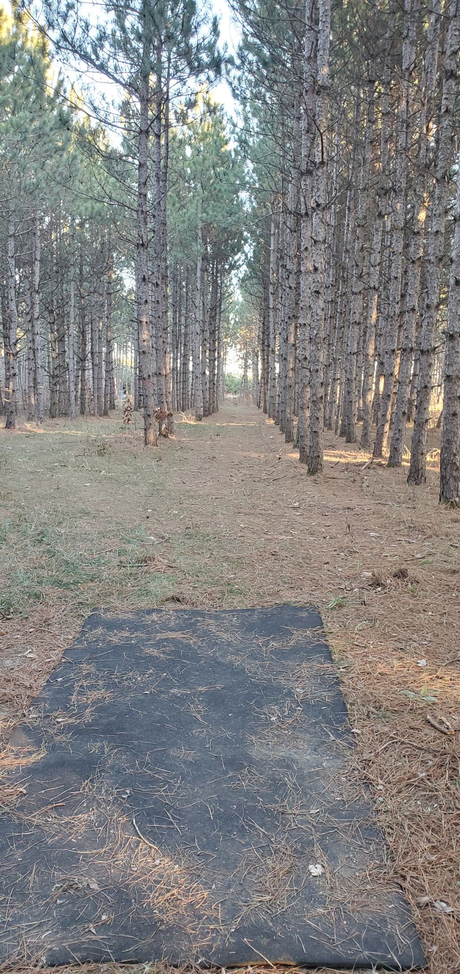 Hole #10