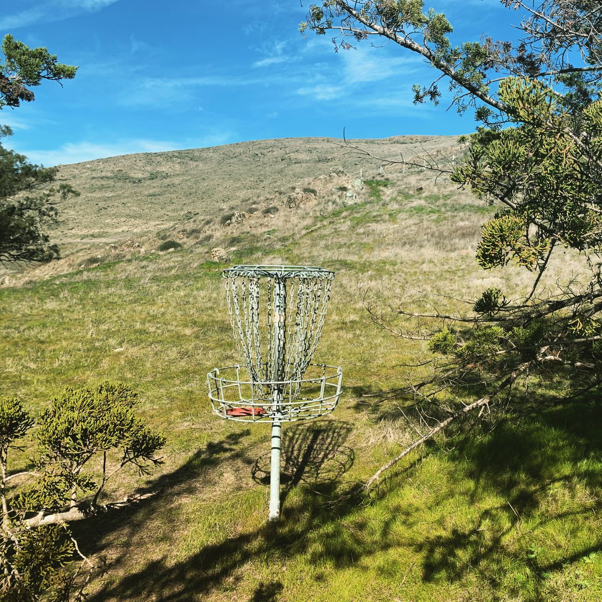 18 basket