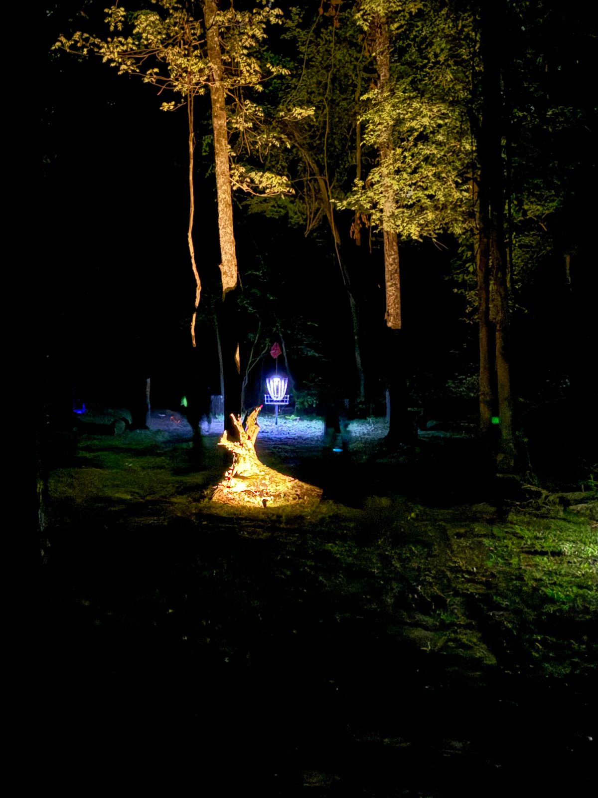 No.8, playing down off levee