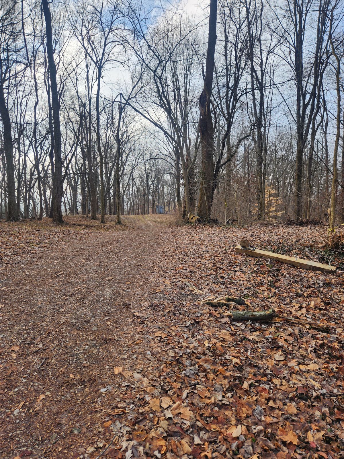 Hole 10 - 220ft thru center gap, then 90 degree right turn downhill 170 ft to basket.