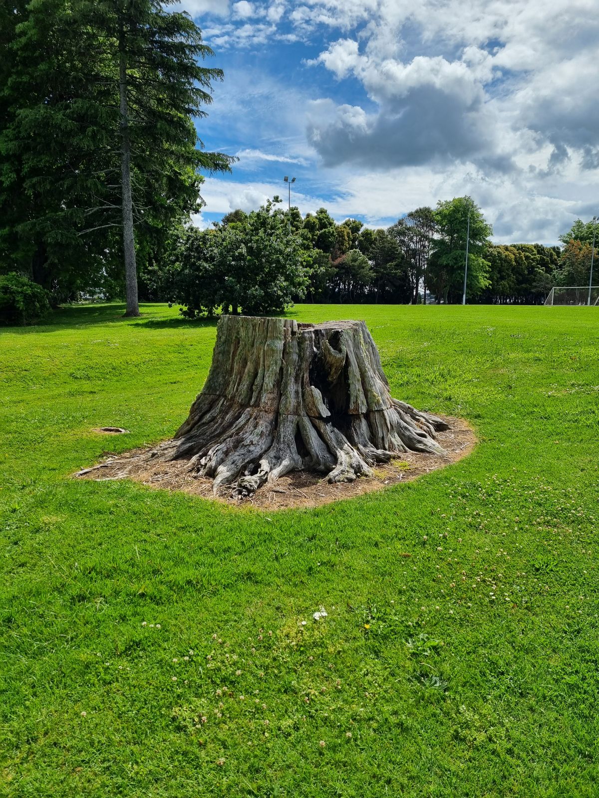 Hole 2 object basket until permanent basket gets installed