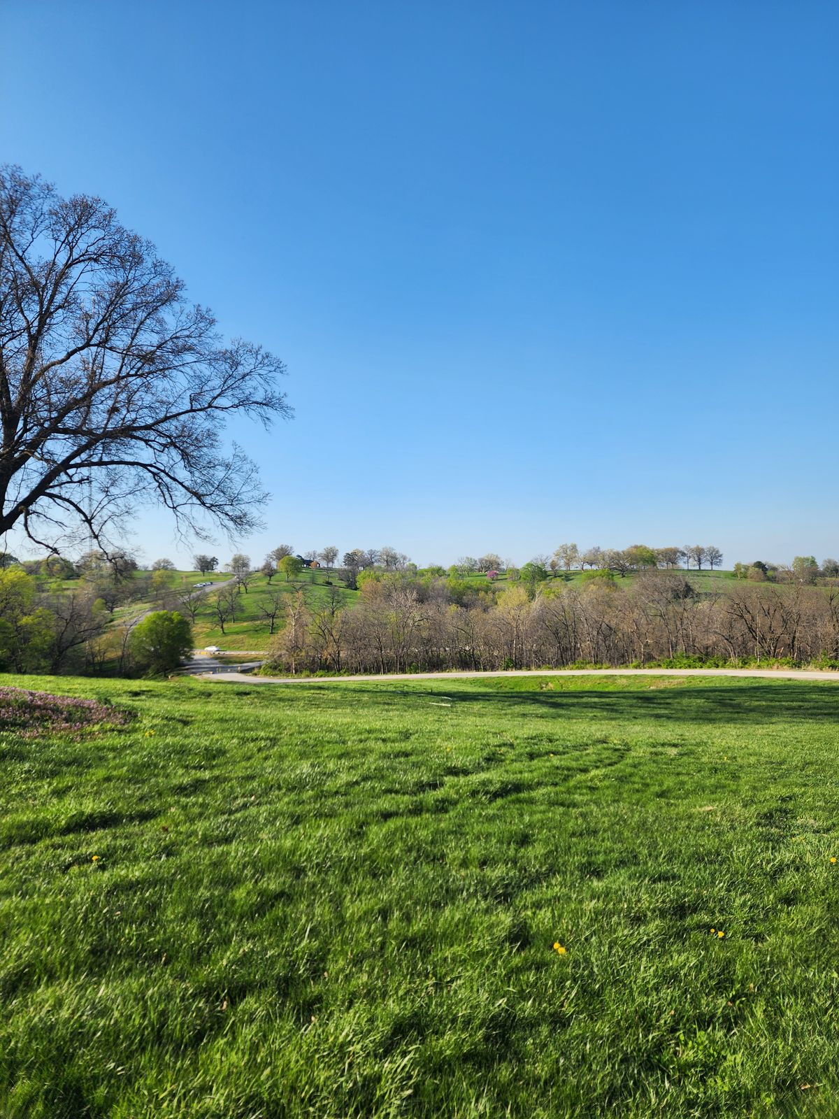 Beautiful view of the park from hole 6