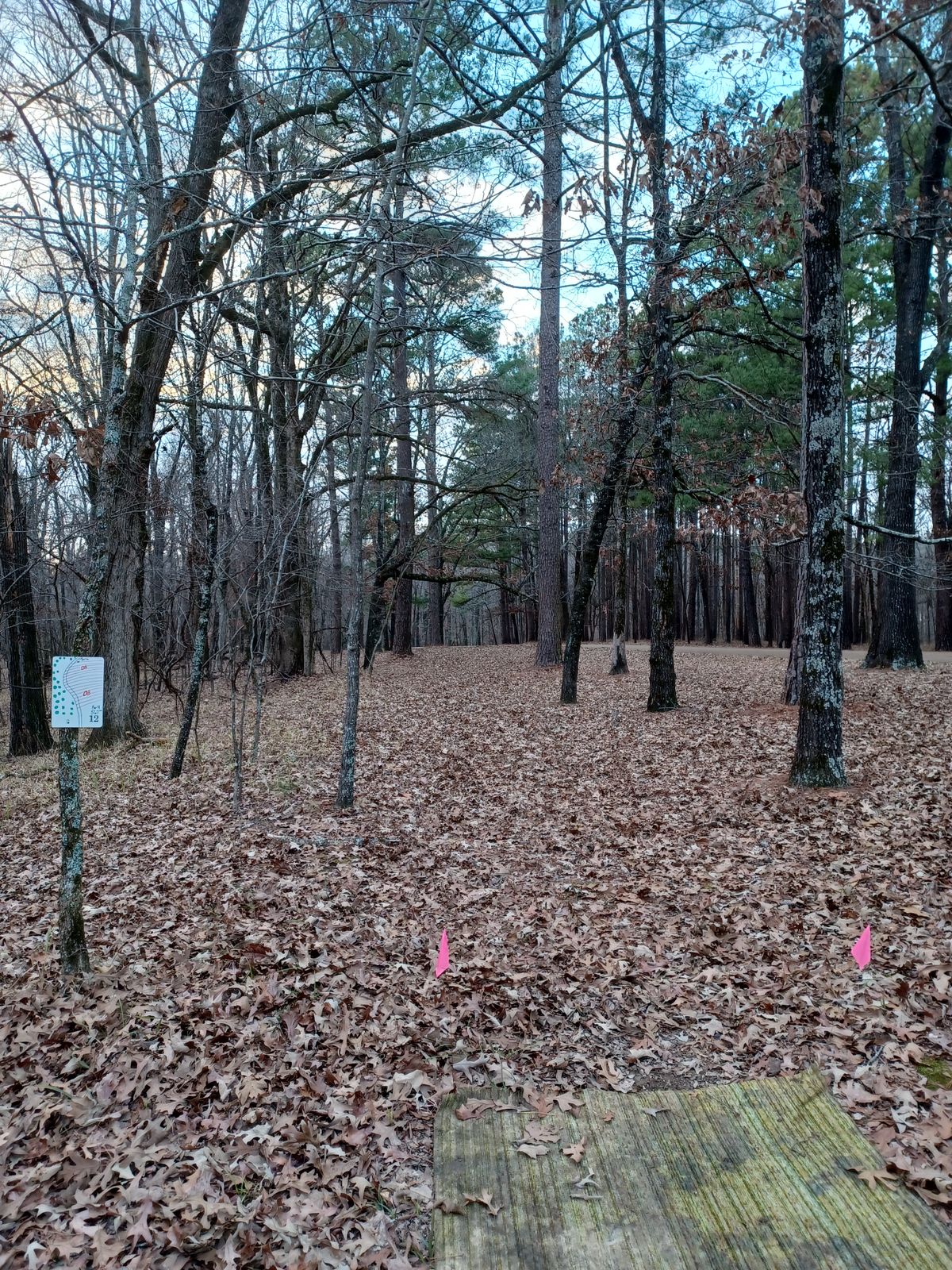 Hole 12