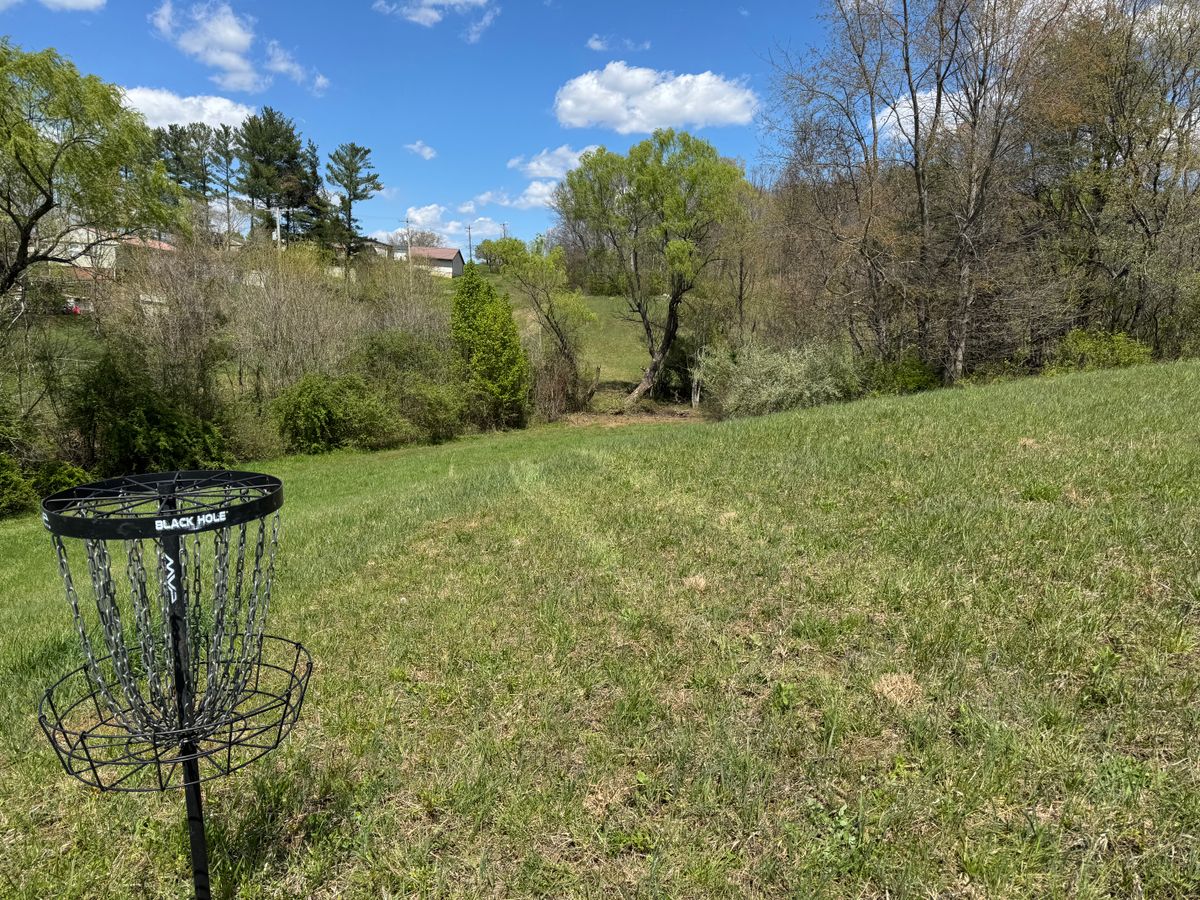 Hole 17 basket looking back towards tee
