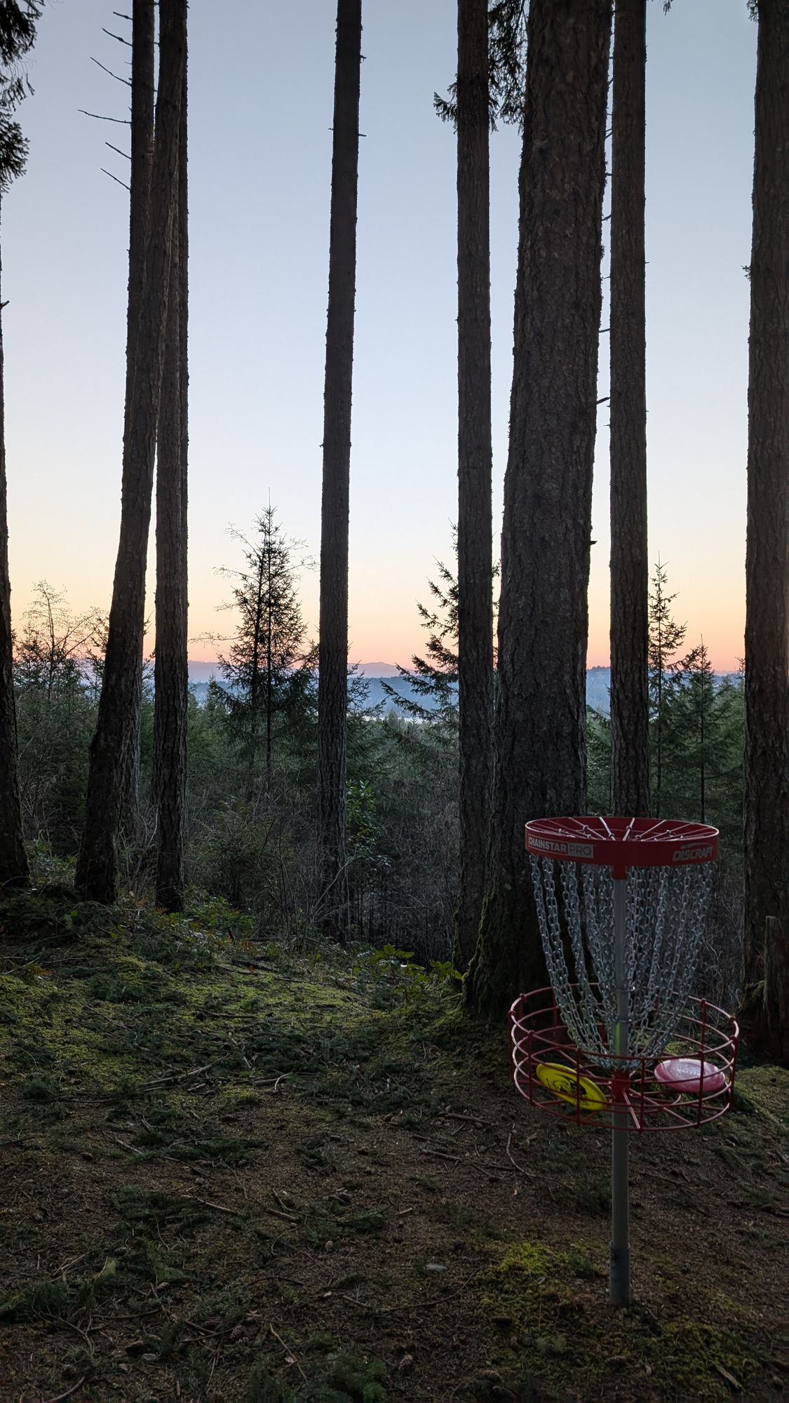 Hole 15