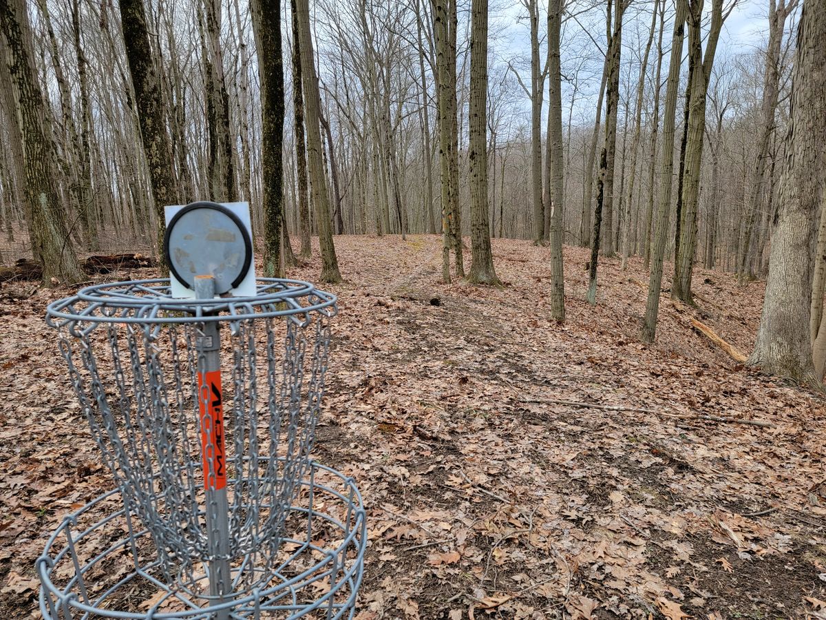 Hole 15 green looking back up the fairway