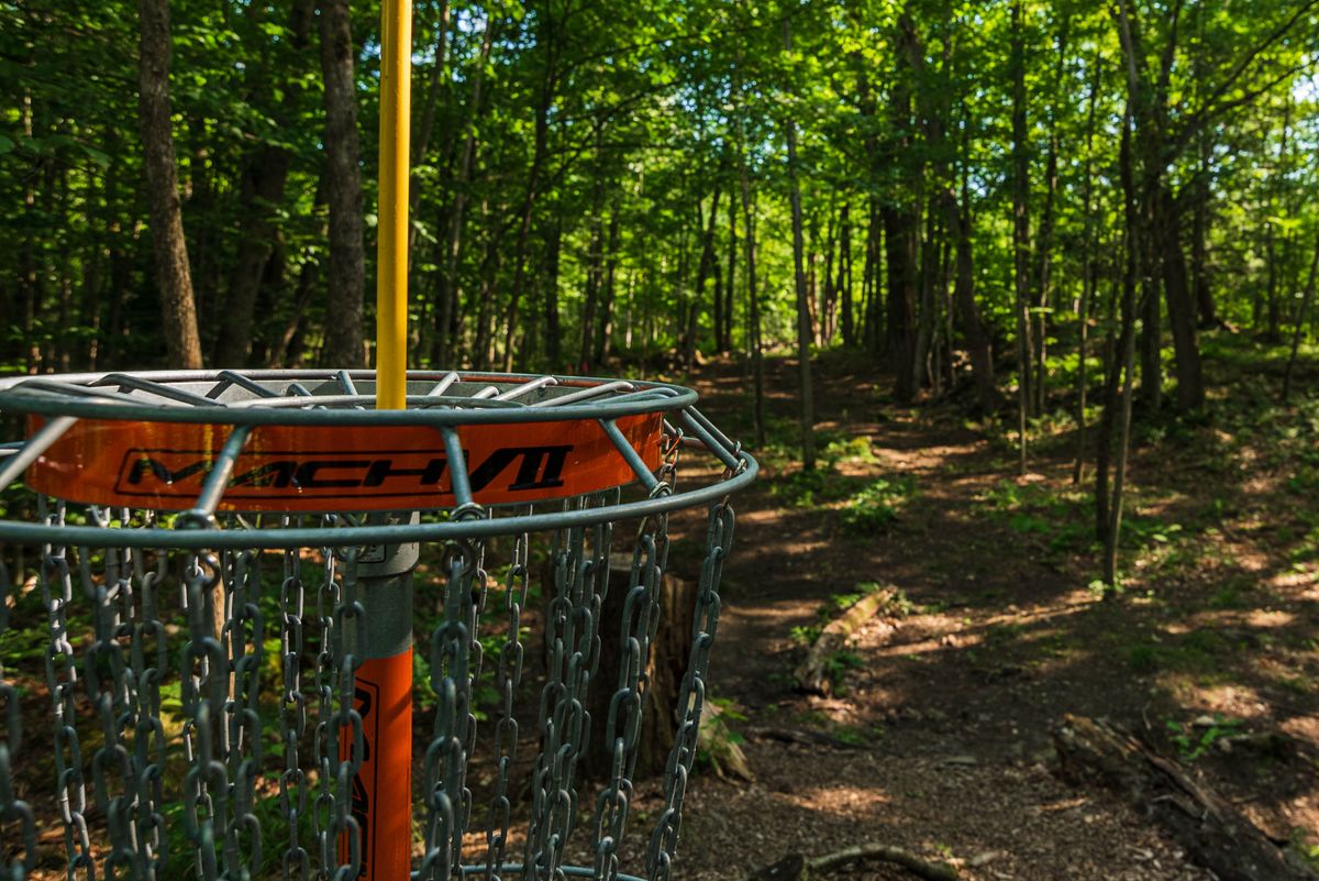 Hole 14 basket