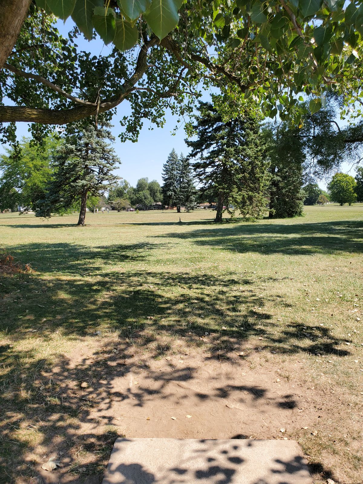 #17