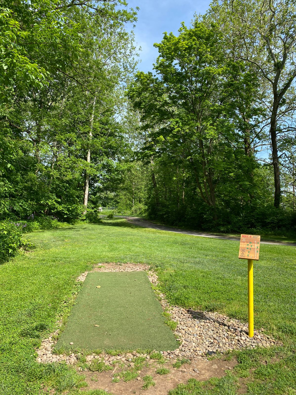 Hole 8