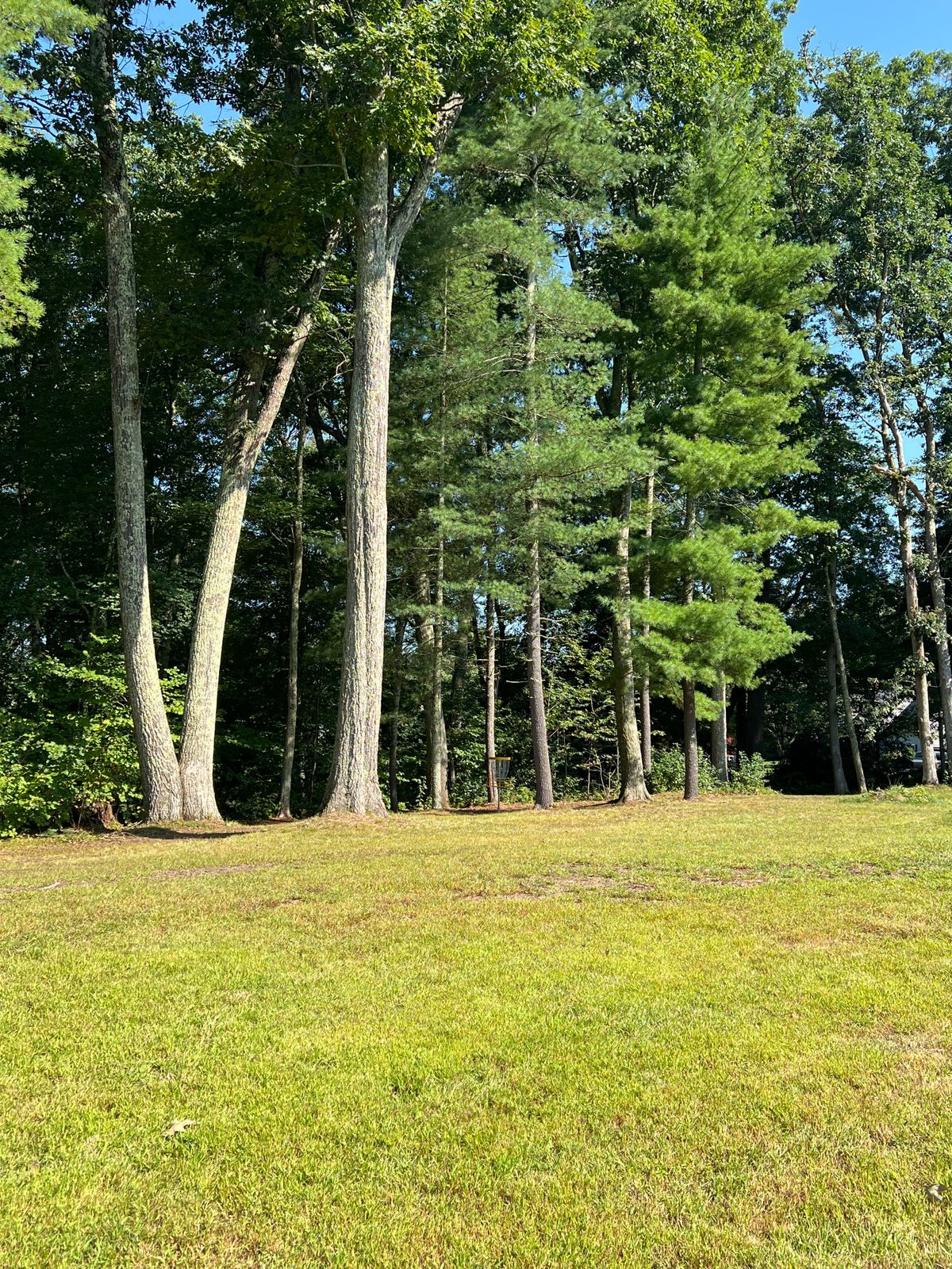Hole 16 Basket