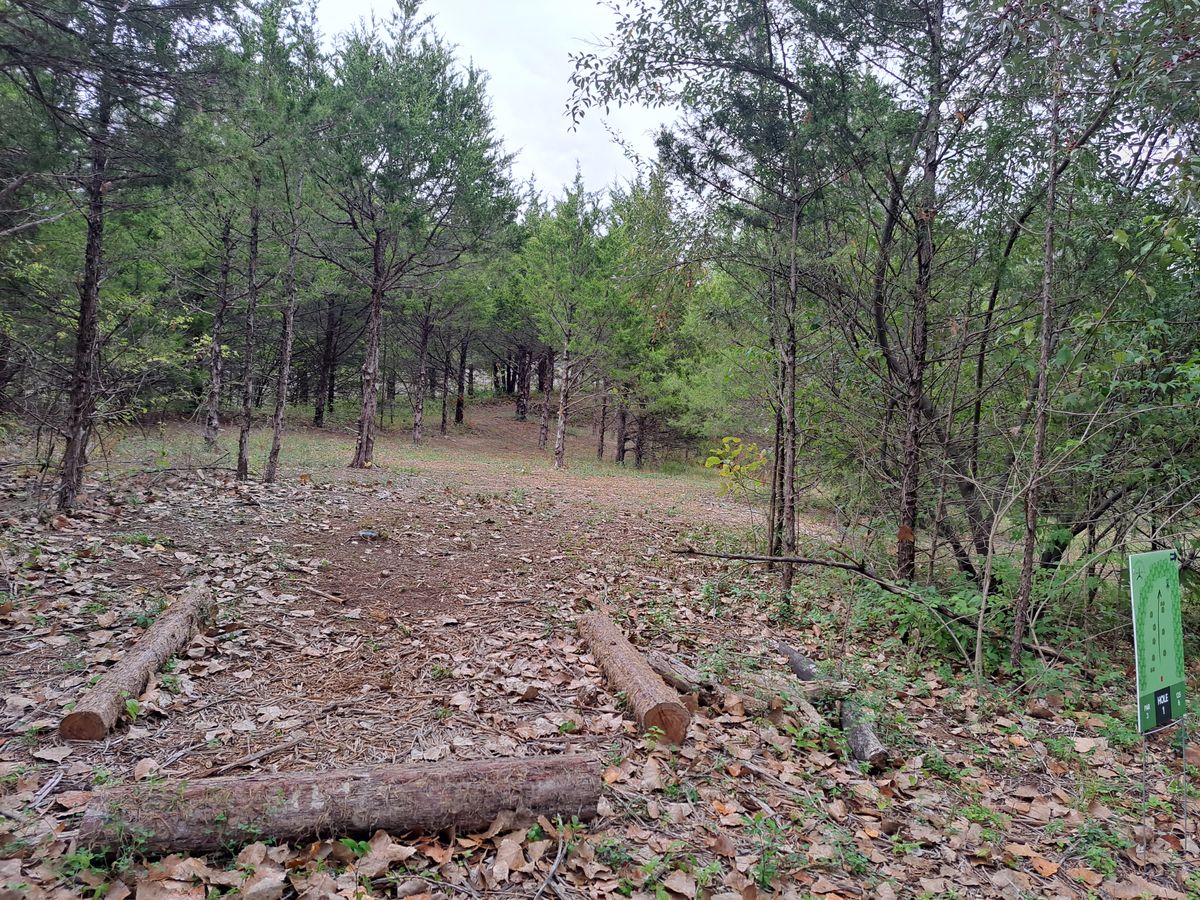 Hole 1 Teepad