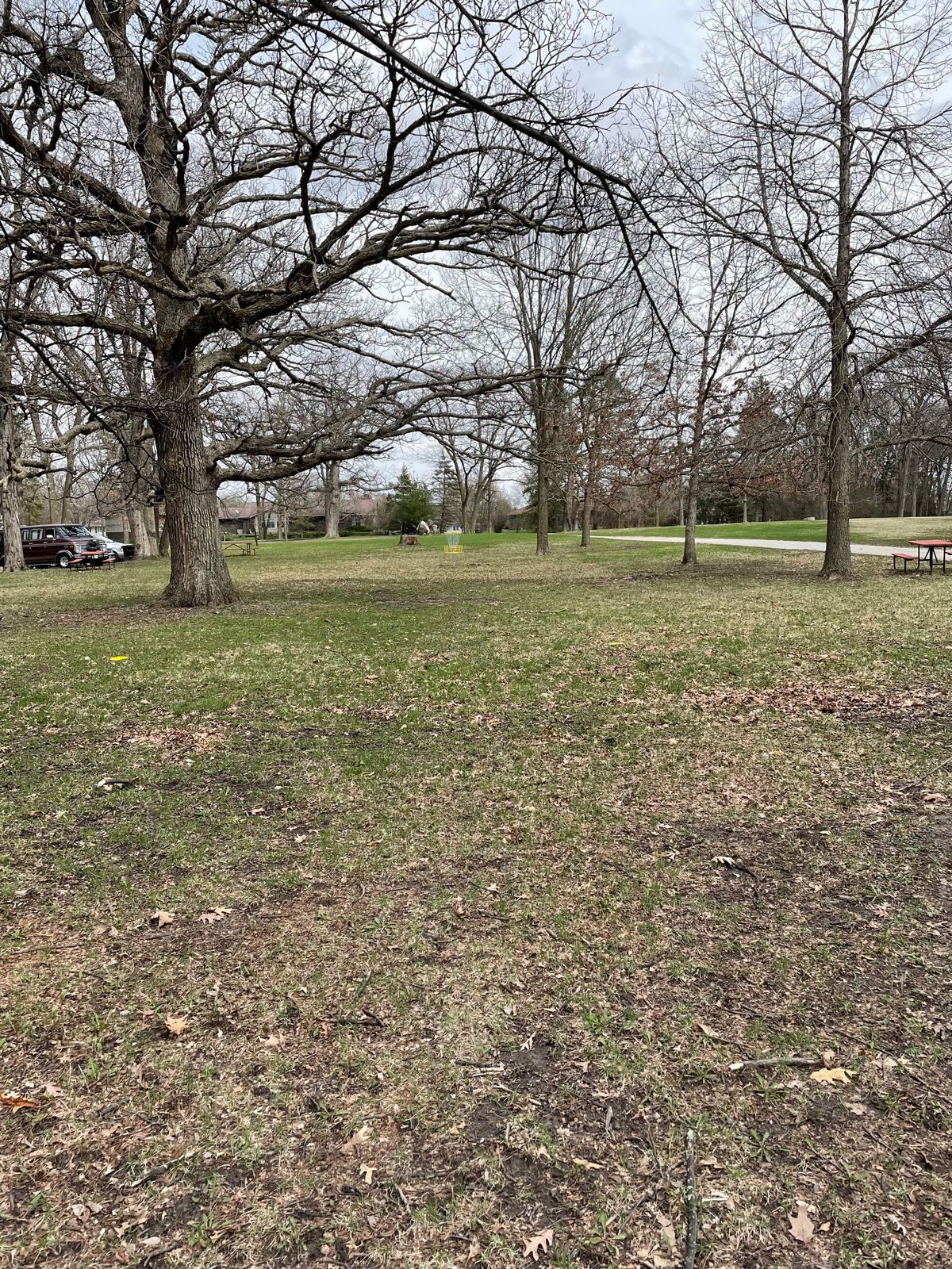Basket of new hole 8. The hole starts just past the old hole 16, now hole 7.