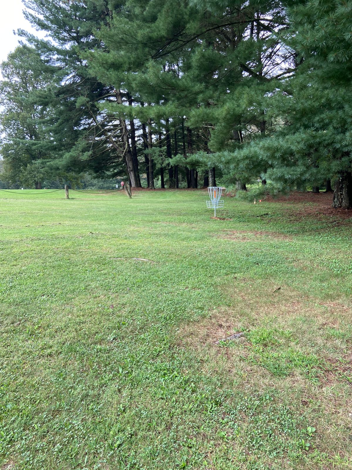 14 b