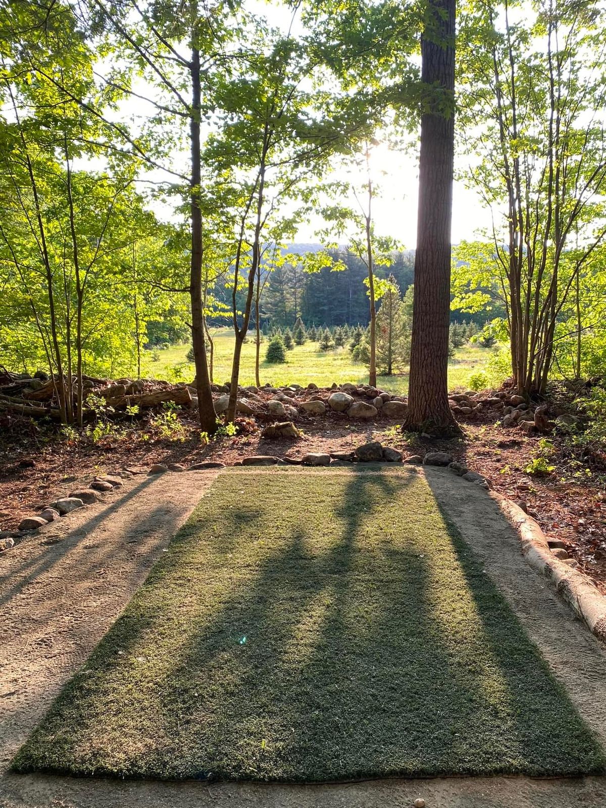 Allen Tree Farm DGC