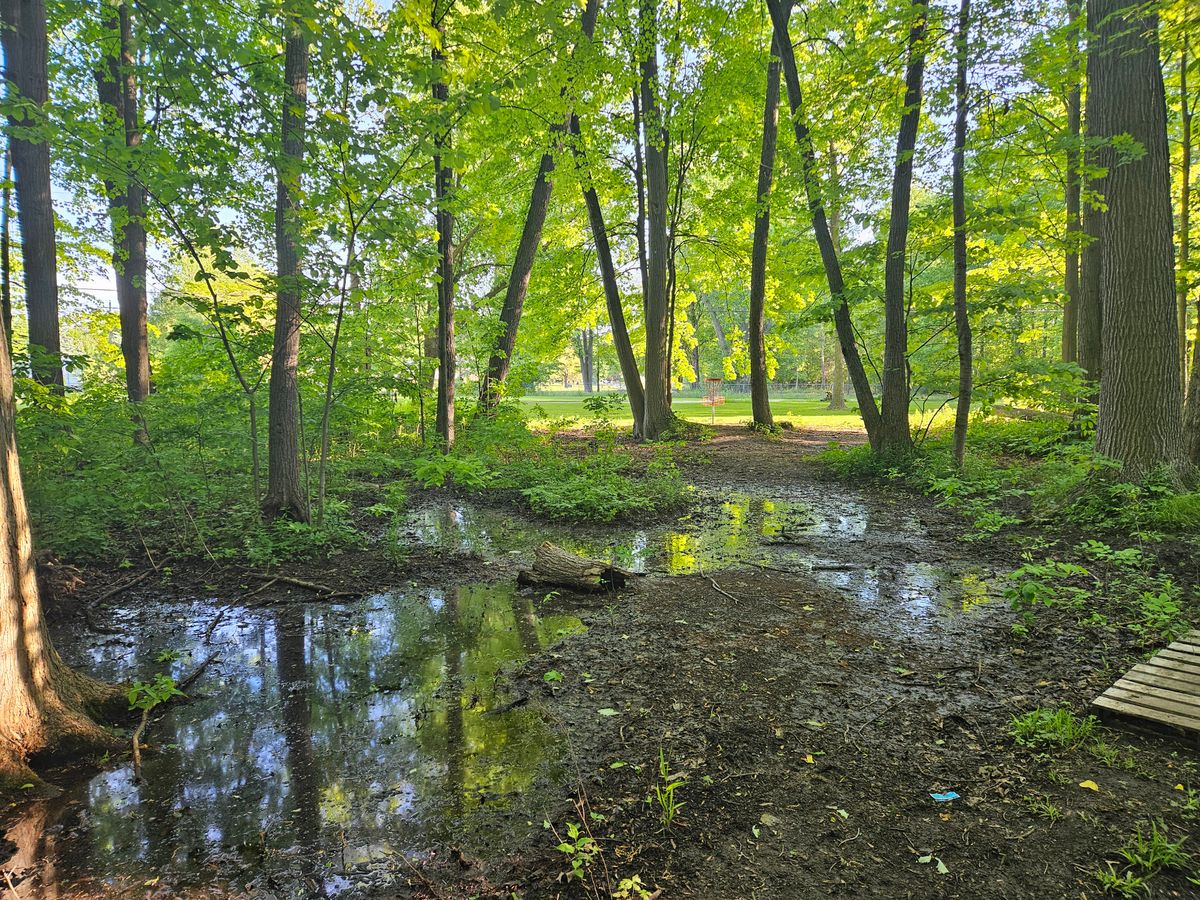 Hole 5 Basket with some casual water, Spring 2024