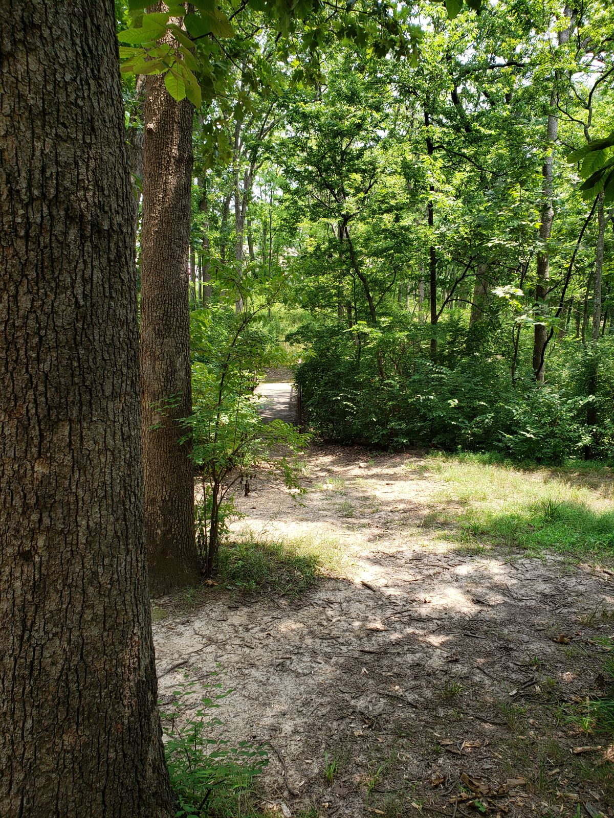 #5 Fairway and foot bridge